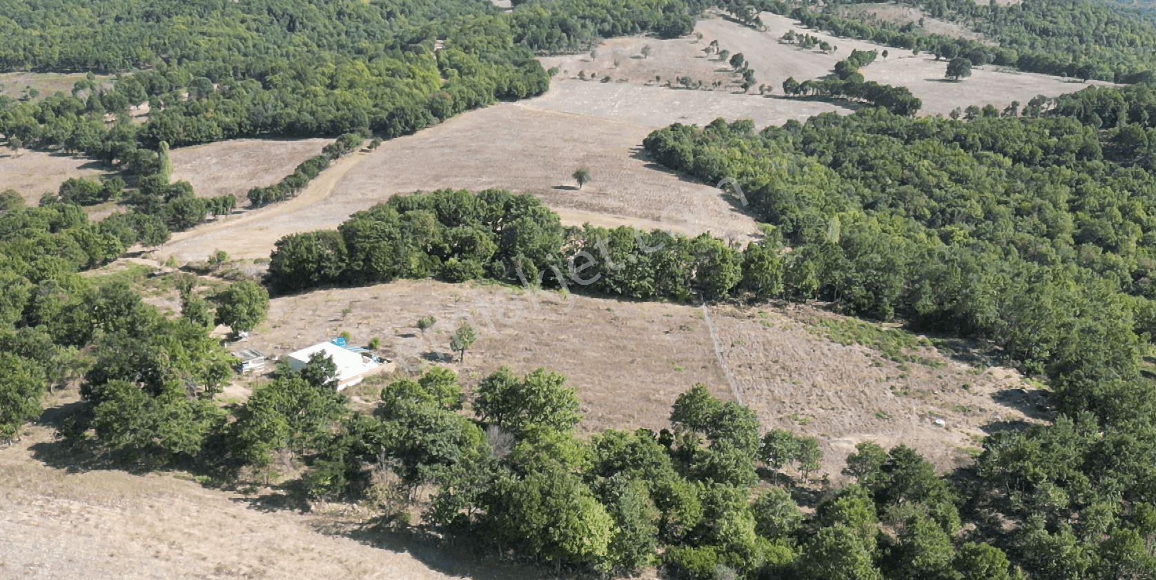 4.008 M2 Satılık Bağ Evi. Keşif Arazi. Balıkesir Gönen Kavakalan 116 Ada 13 Parsel. Sahibi Muhittin — fotoğraf 33