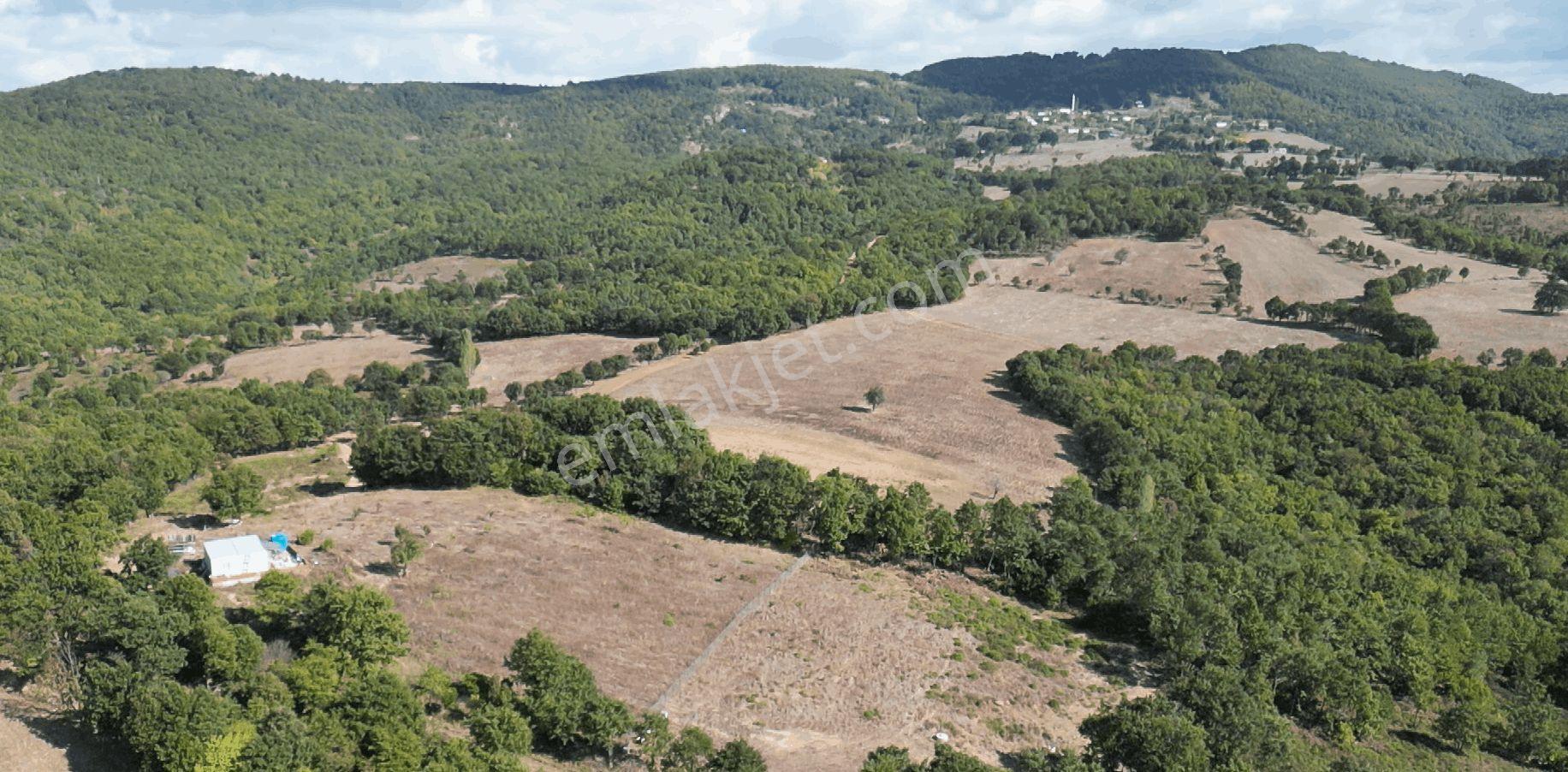4.008 M2 Satılık Bağ Evi. Keşif Arazi. Balıkesir Gönen Kavakalan 116 Ada 13 Parsel. Sahibi Muhittin — fotoğraf 42