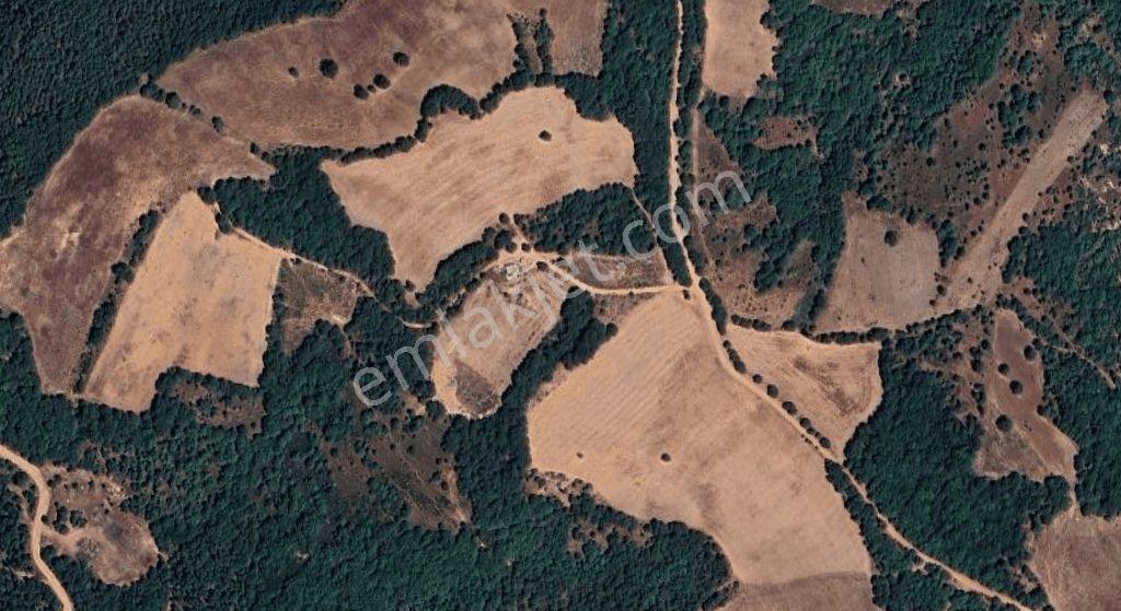 4.008 M2 Satılık Bağ Evi. Keşif Arazi. Balıkesir Gönen Kavakalan 116 Ada 13 Parsel. Sahibi Muhittin — fotoğraf 45
