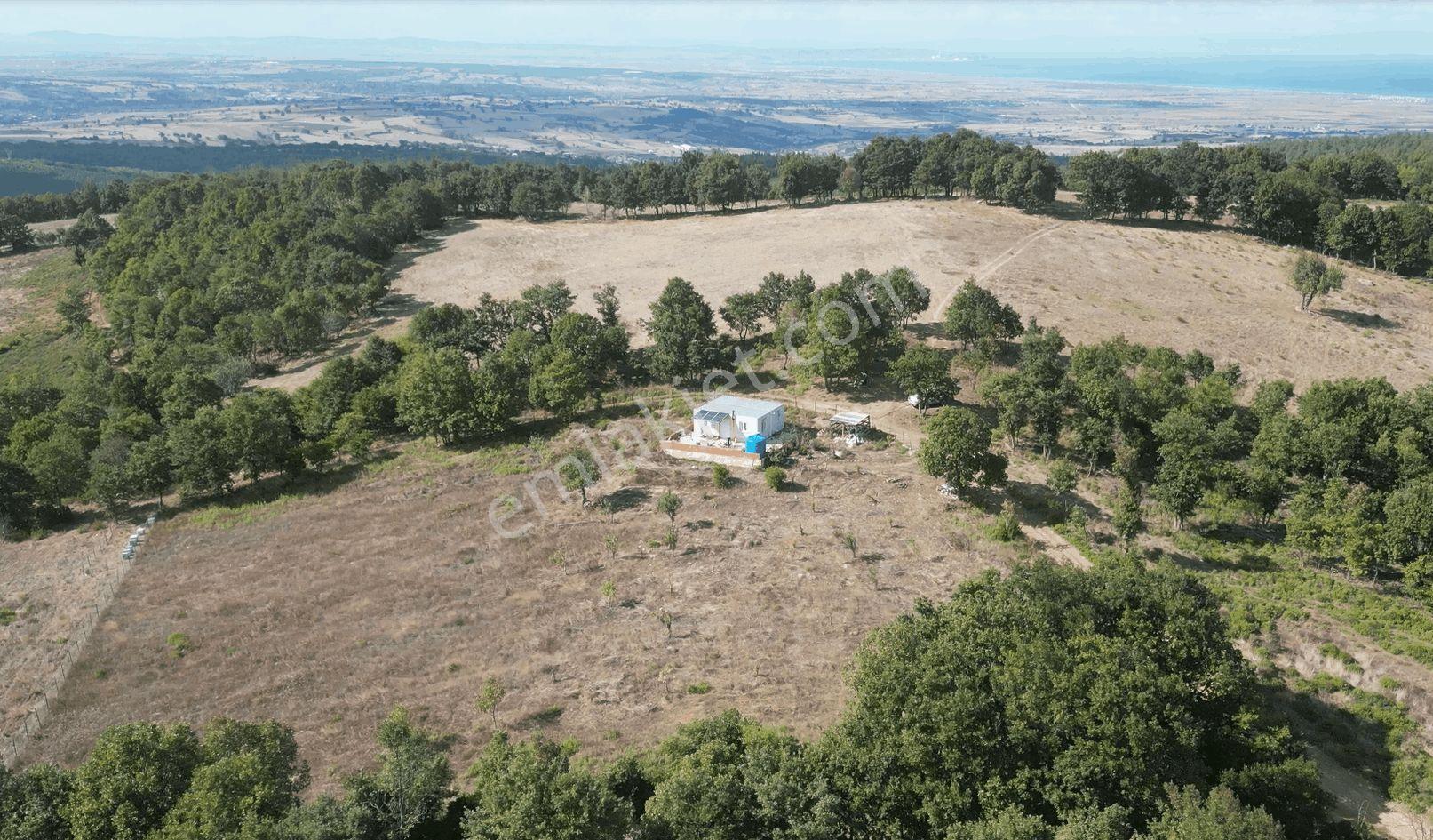 4.008 M2 Satılık Bağ Evi. Keşif Arazi. Balıkesir Gönen Kavakalan 116 Ada 13 Parsel. Sahibi Muhittin — fotoğraf 47