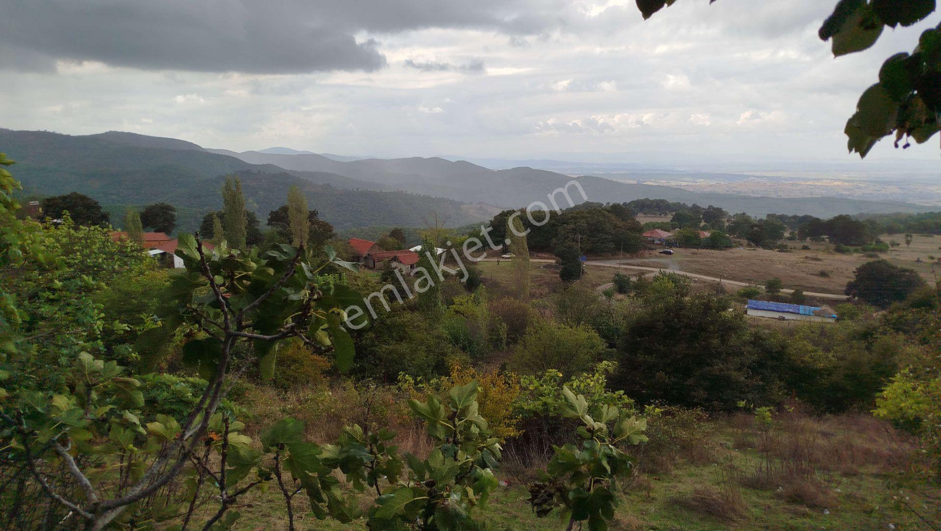 4.008 M2 Satılık Bağ Evi. Keşif Arazi. Balıkesir Gönen Kavakalan 116 Ada 13 Parsel. Sahibi Muhittin — fotoğraf 49