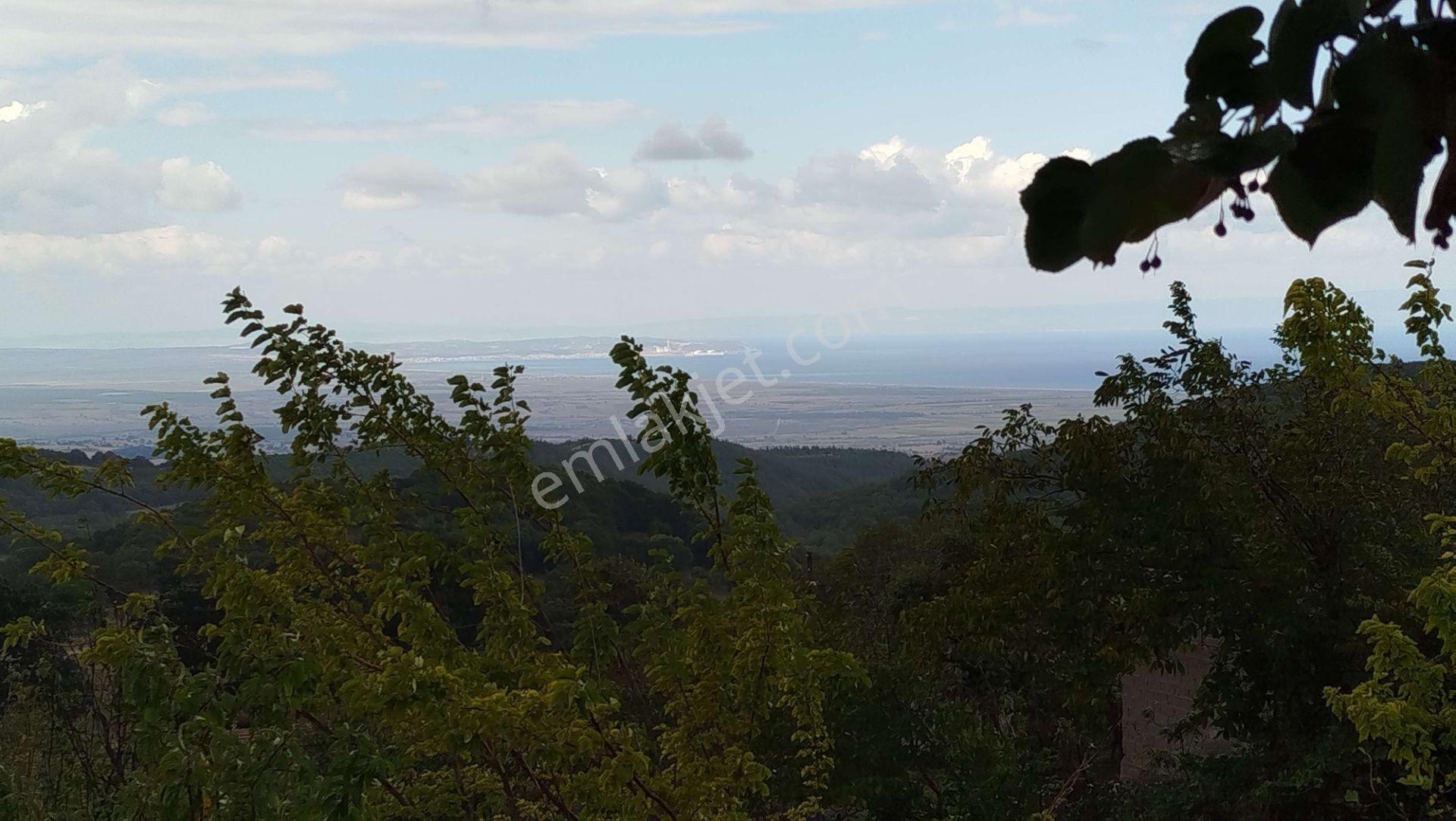 4.008 M2 Satılık Bağ Evi. Keşif Arazi. Balıkesir Gönen Kavakalan 116 Ada 13 Parsel. Sahibi Muhittin — fotoğraf 52