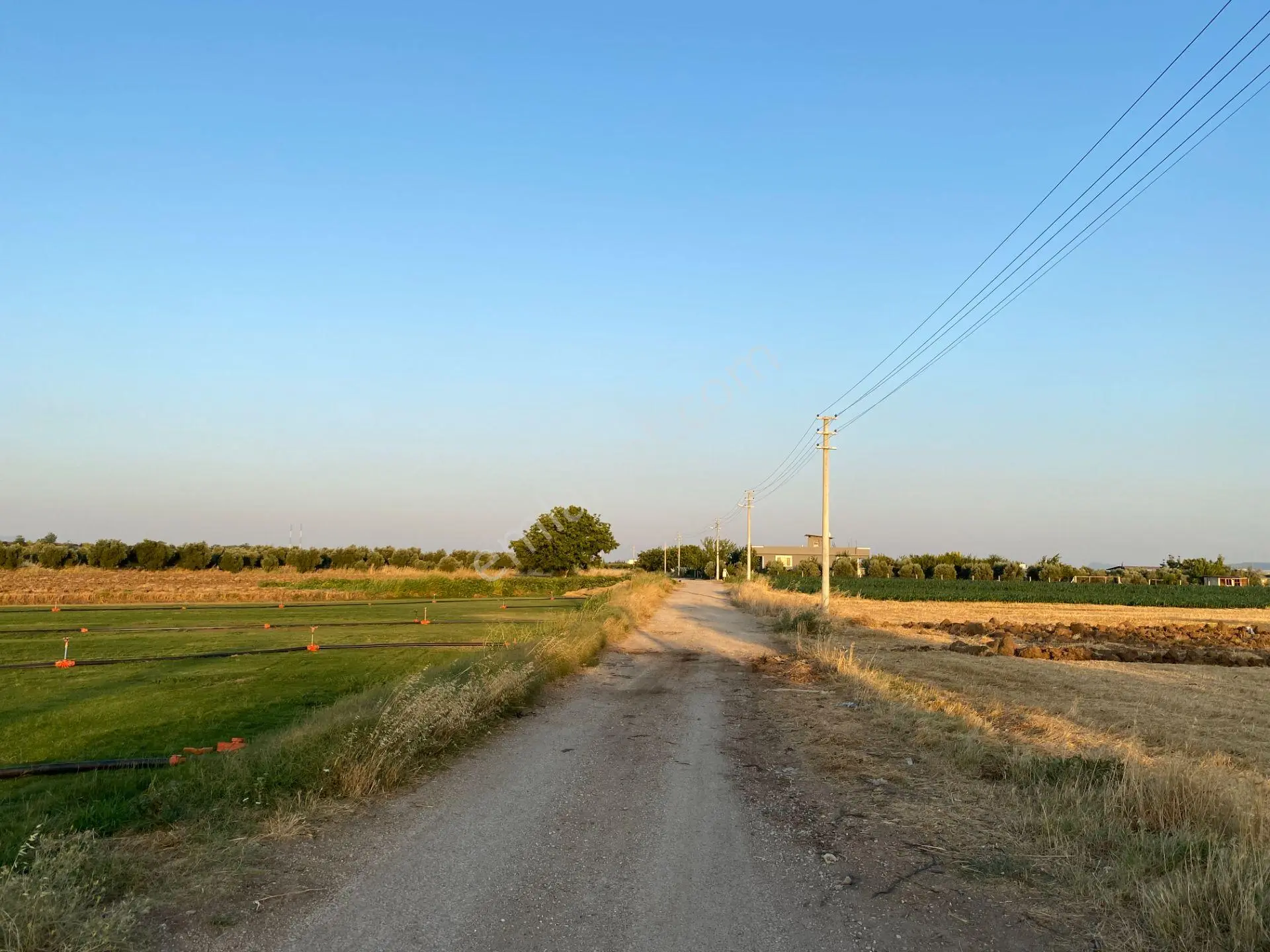 Menderes Oğlananasında 500 M2 Noter Satışlı Parsel+ev Açıklamayı Okuyun — fotoğraf 3