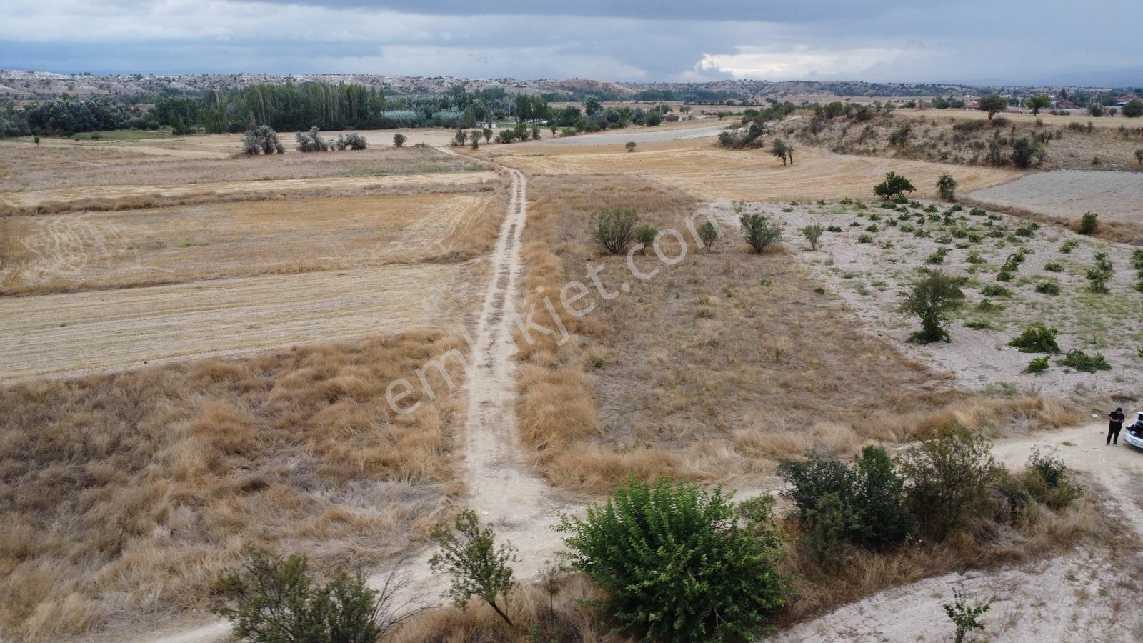 Denizli Çal Aşağıseyit Mh 2324 Mt Yola Cephe Yerleşime 450 Metre — fotoğraf 3