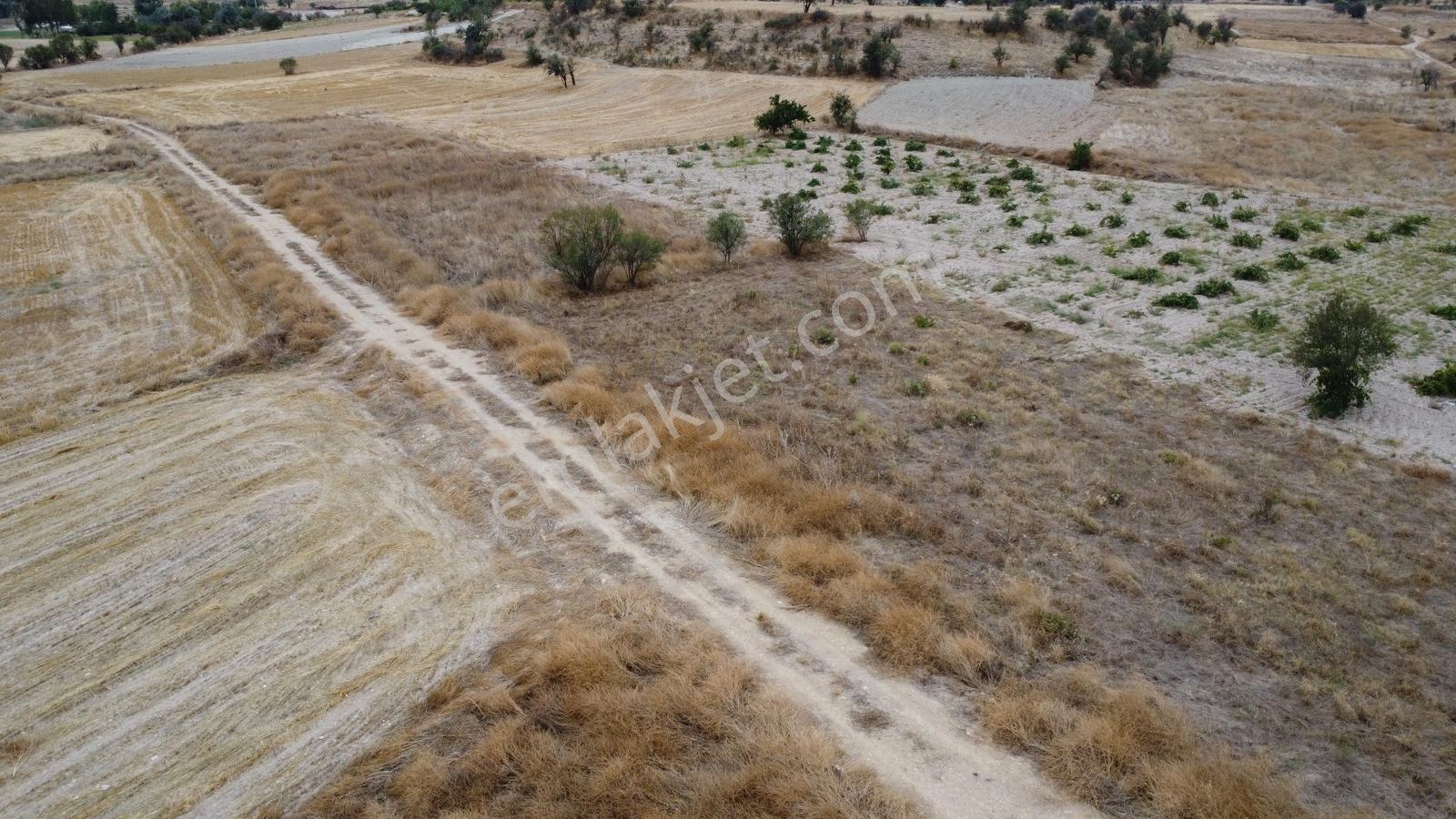 Denizli Çal Aşağıseyit Mh 2324 Mt Yola Cephe Yerleşime 450 Metre — fotoğraf 5