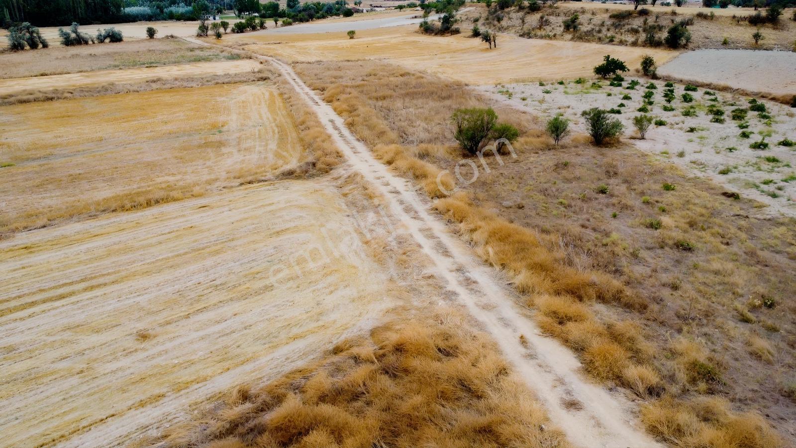Denizli Çal Aşağıseyit Mh 2324 Mt Yola Cephe Yerleşime 450 Metre — fotoğraf 7