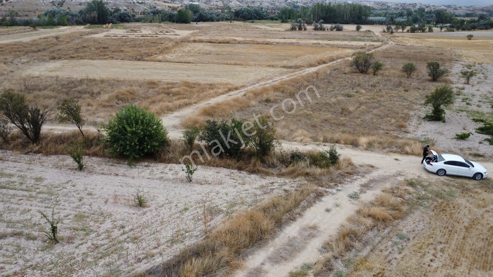 Denizli Çal Aşağıseyit Mh 2324 Mt Yola Cephe Yerleşime 450 Metre — fotoğraf 9