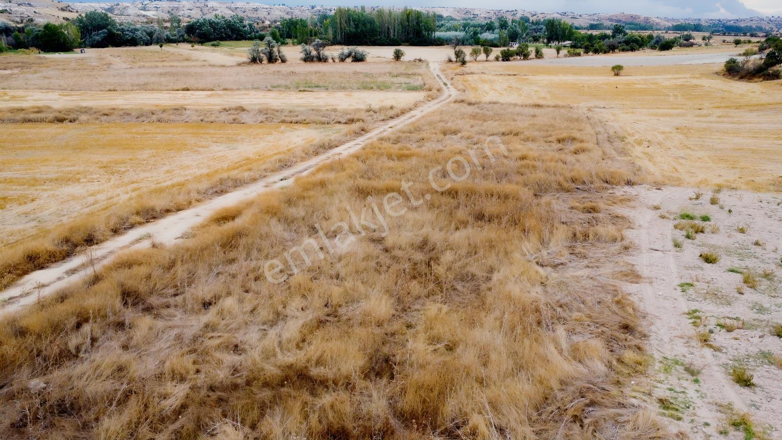 Denizli Çal Aşağıseyit Mh 2324 Mt Yola Cephe Yerleşime 450 Metre — fotoğraf 11