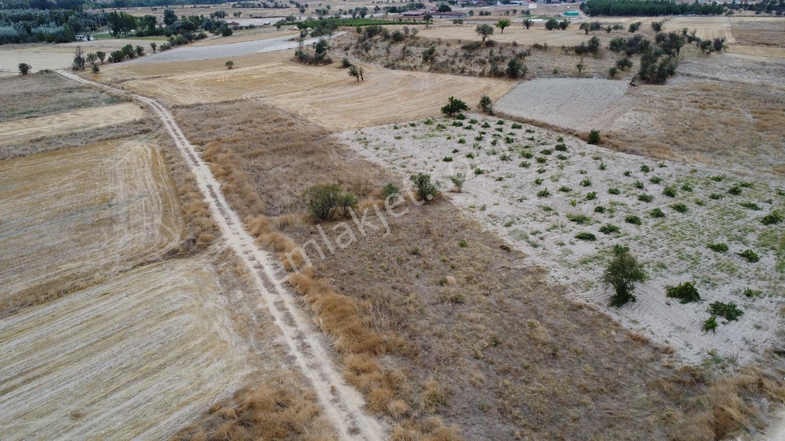 Denizli Çal Aşağıseyit Mh 2324 Mt Yola Cephe Yerleşime 450 Metre — fotoğraf 12