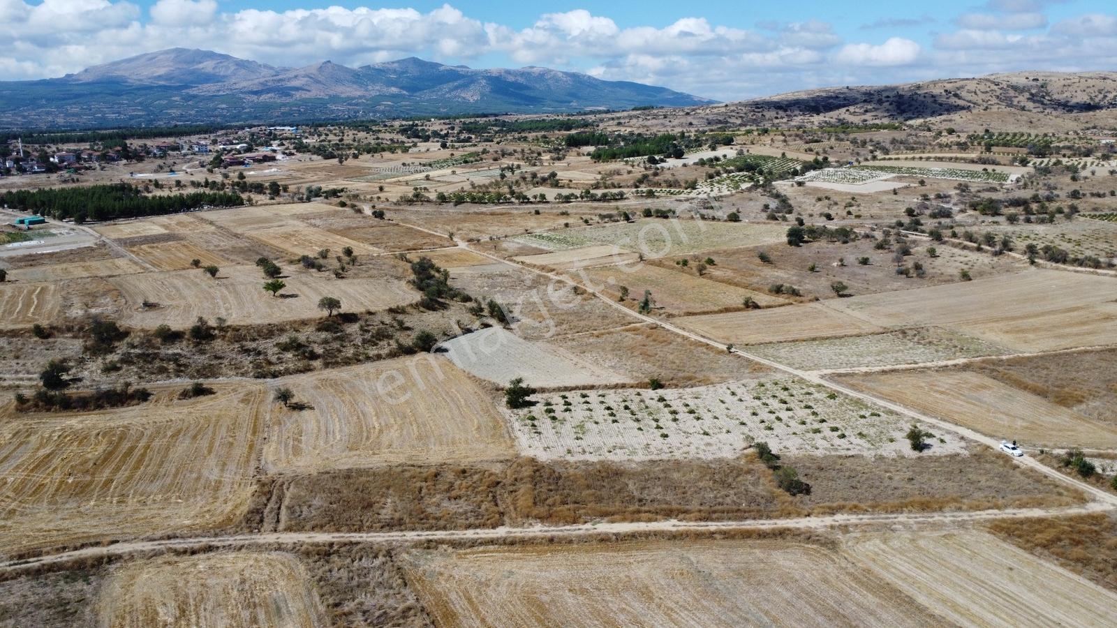 Denizli Çal Aşağıseyit Mh 2324 Mt Yola Cephe Yerleşime 450 Metre — fotoğraf 16