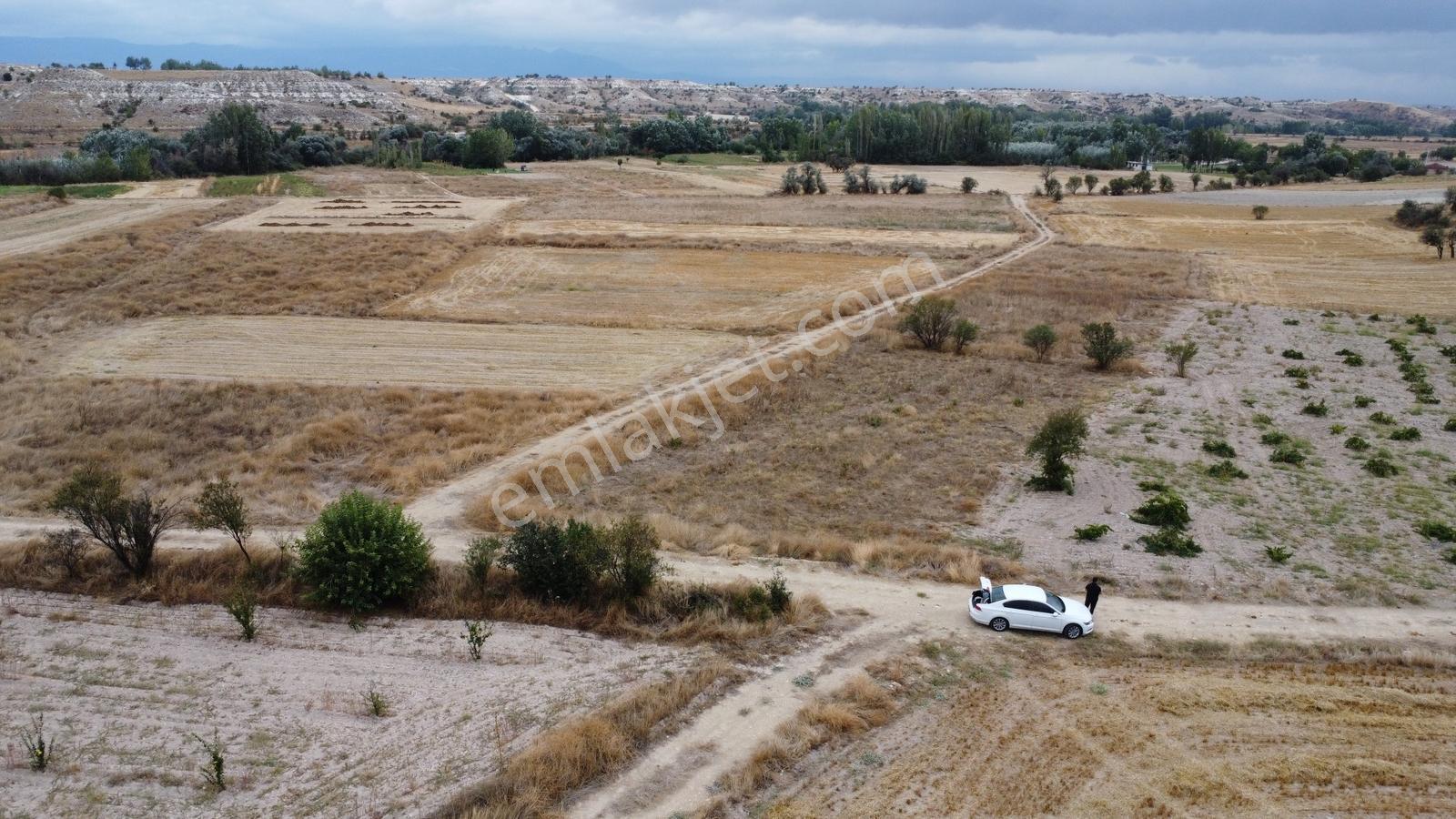 Denizli Çal Aşağıseyit Mh 2324 Mt Yola Cephe Yerleşime 450 Metre — fotoğraf 18