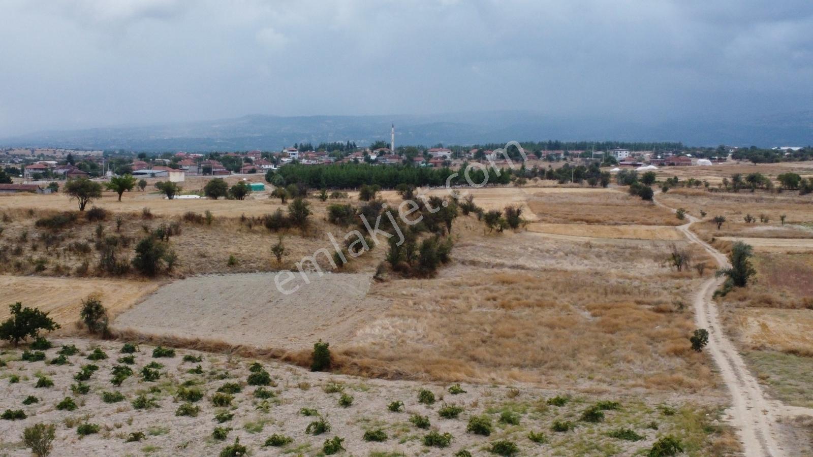 Denizli Çal Aşağıseyit Mh 2324 Mt Yola Cephe Yerleşime 450 Metre — fotoğraf 20