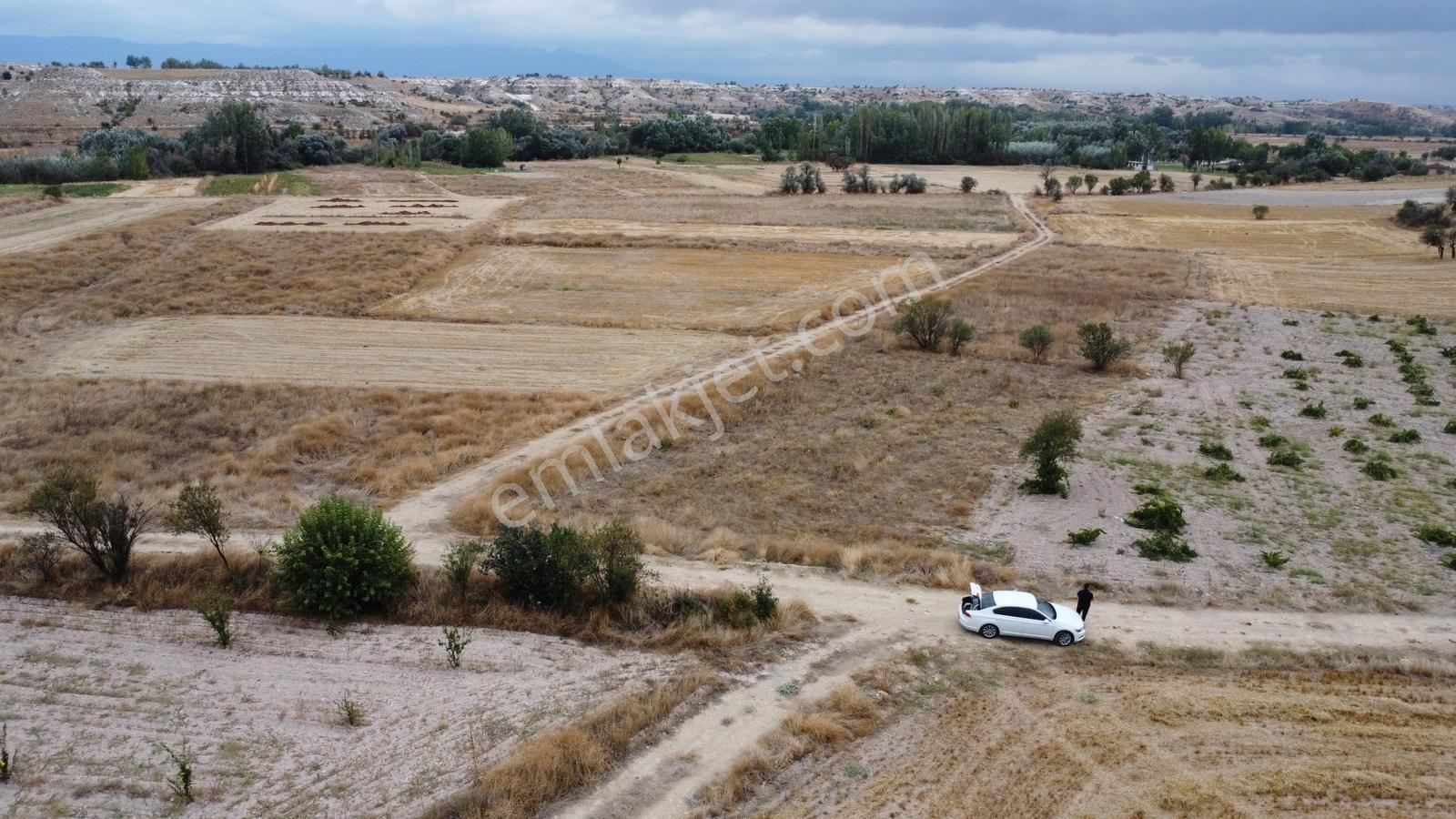 Denizli Çal Aşağıseyit Mh 2324 Mt Yola Cephe Yerleşime 450 Metre — fotoğraf 21