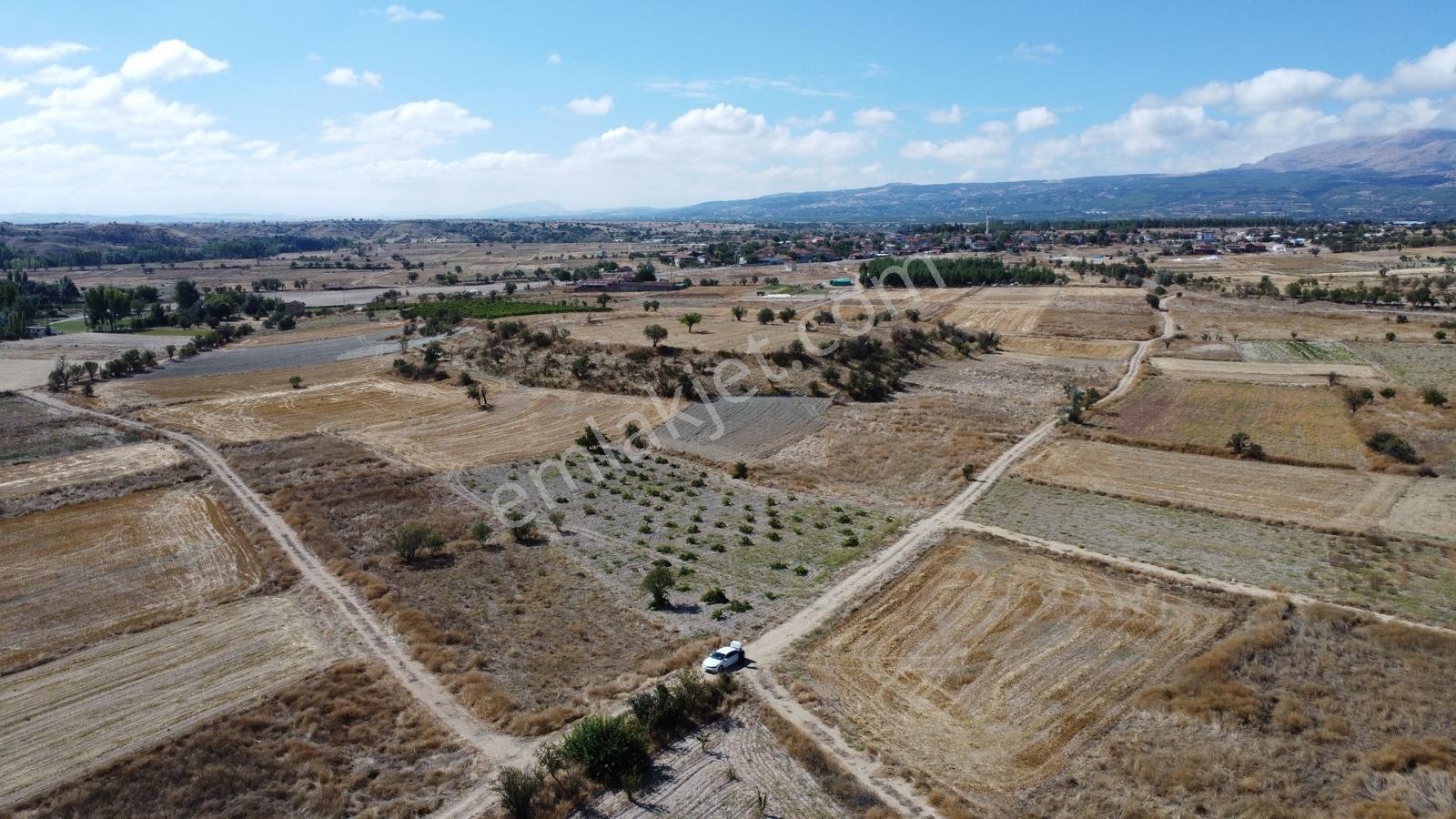 Denizli Çal Aşağıseyit Mh 2324 Mt Yola Cephe Yerleşime 450 Metre — fotoğraf 22