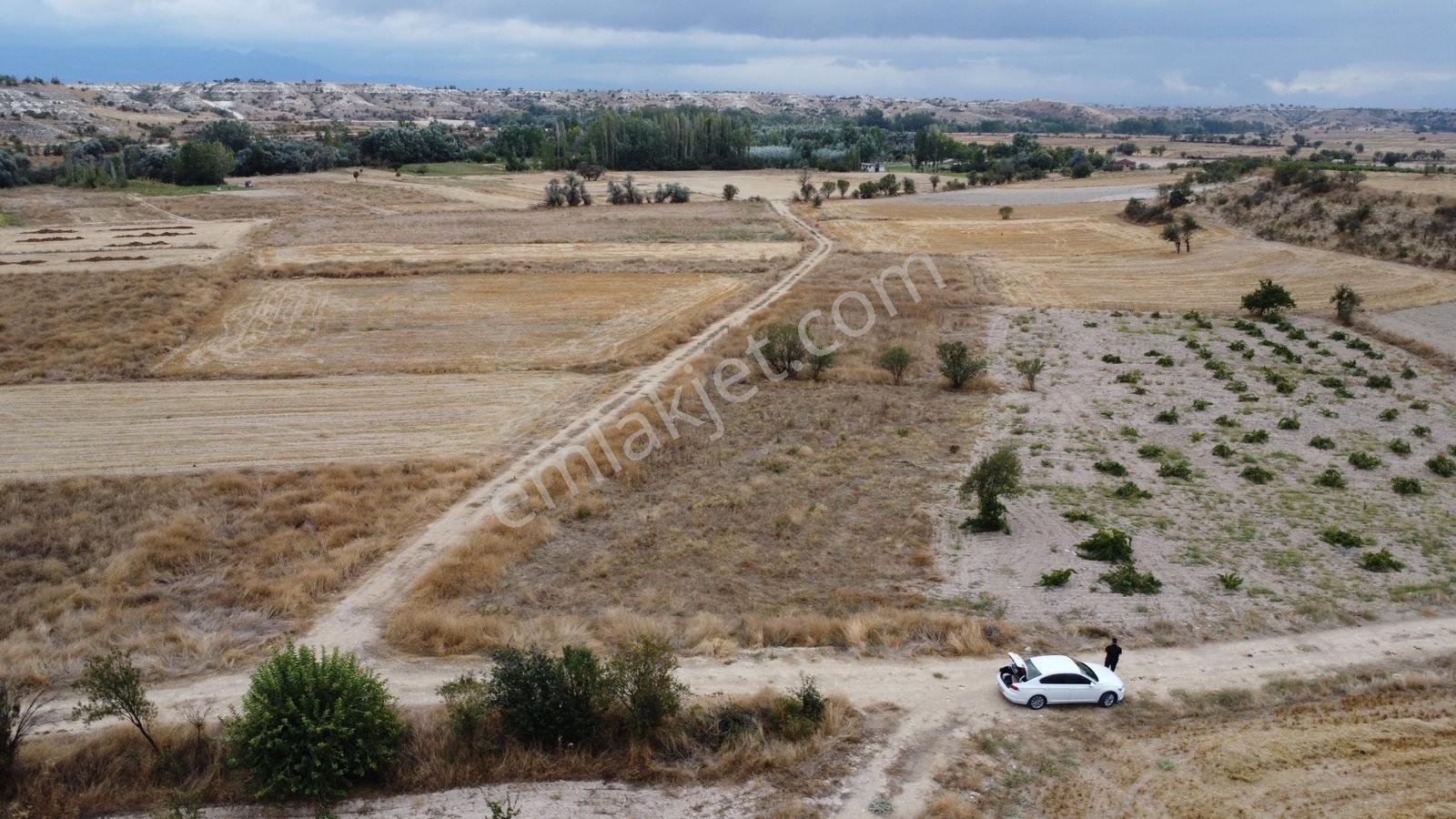 Denizli Çal Aşağıseyit Mh 2324 Mt Yola Cephe Yerleşime 450 Metre — fotoğraf 23