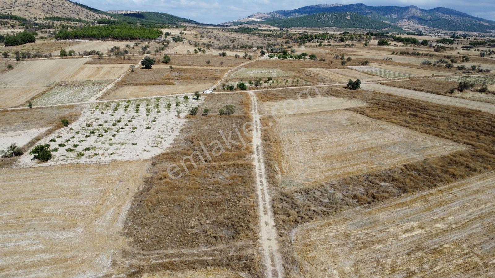 Denizli Çal Aşağıseyit Mh 2324 Mt Yola Cephe Yerleşime 450 Metre — fotoğraf 25