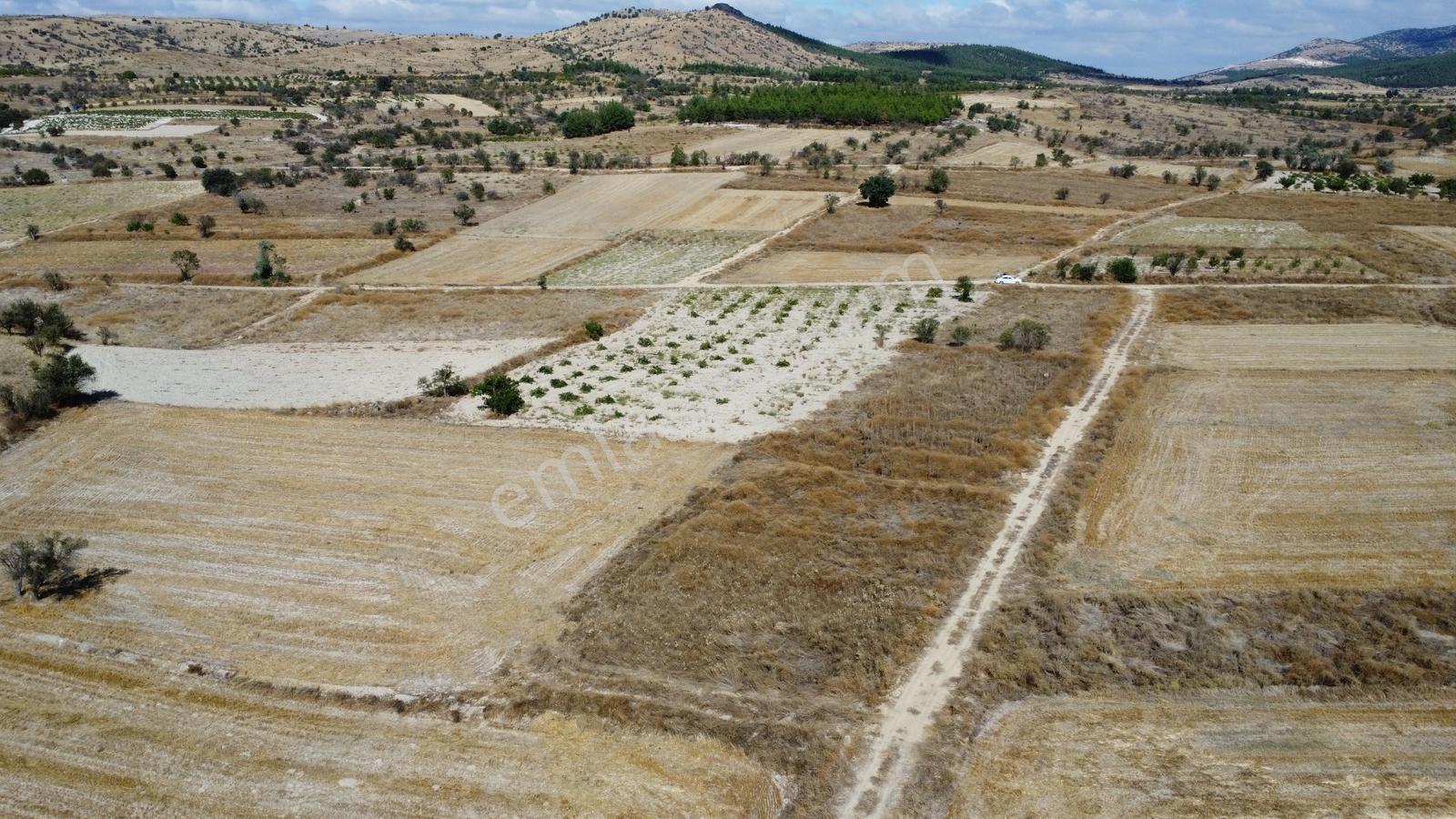 Denizli Çal Aşağıseyit Mh 2324 Mt Yola Cephe Yerleşime 450 Metre — fotoğraf 26
