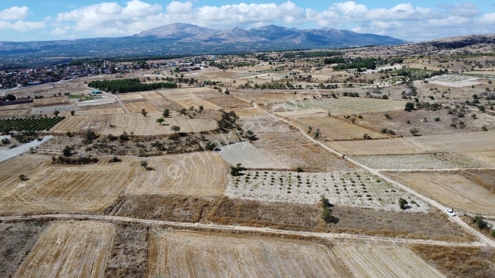 Denizli Çal Aşağıseyit Mh 2324 Mt Yola Cephe Yerleşime 450 Metre — fotoğraf 27