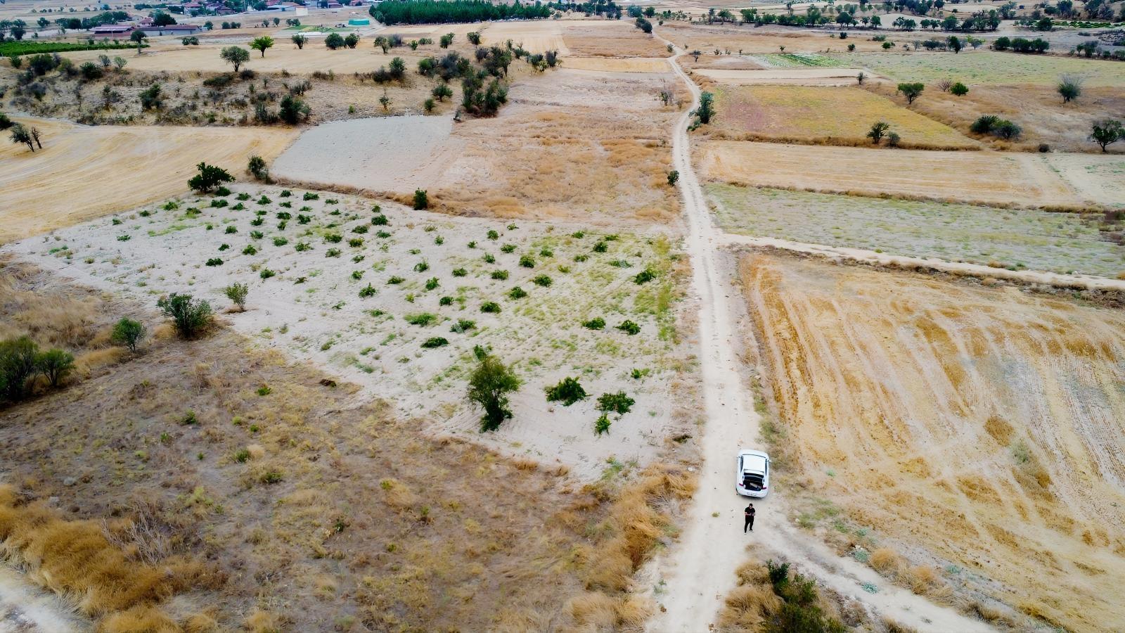 Denizli Çal Aşağıseyit Mh 2324 Mt Yola Cephe Yerleşime 450 Metre — fotoğraf 29