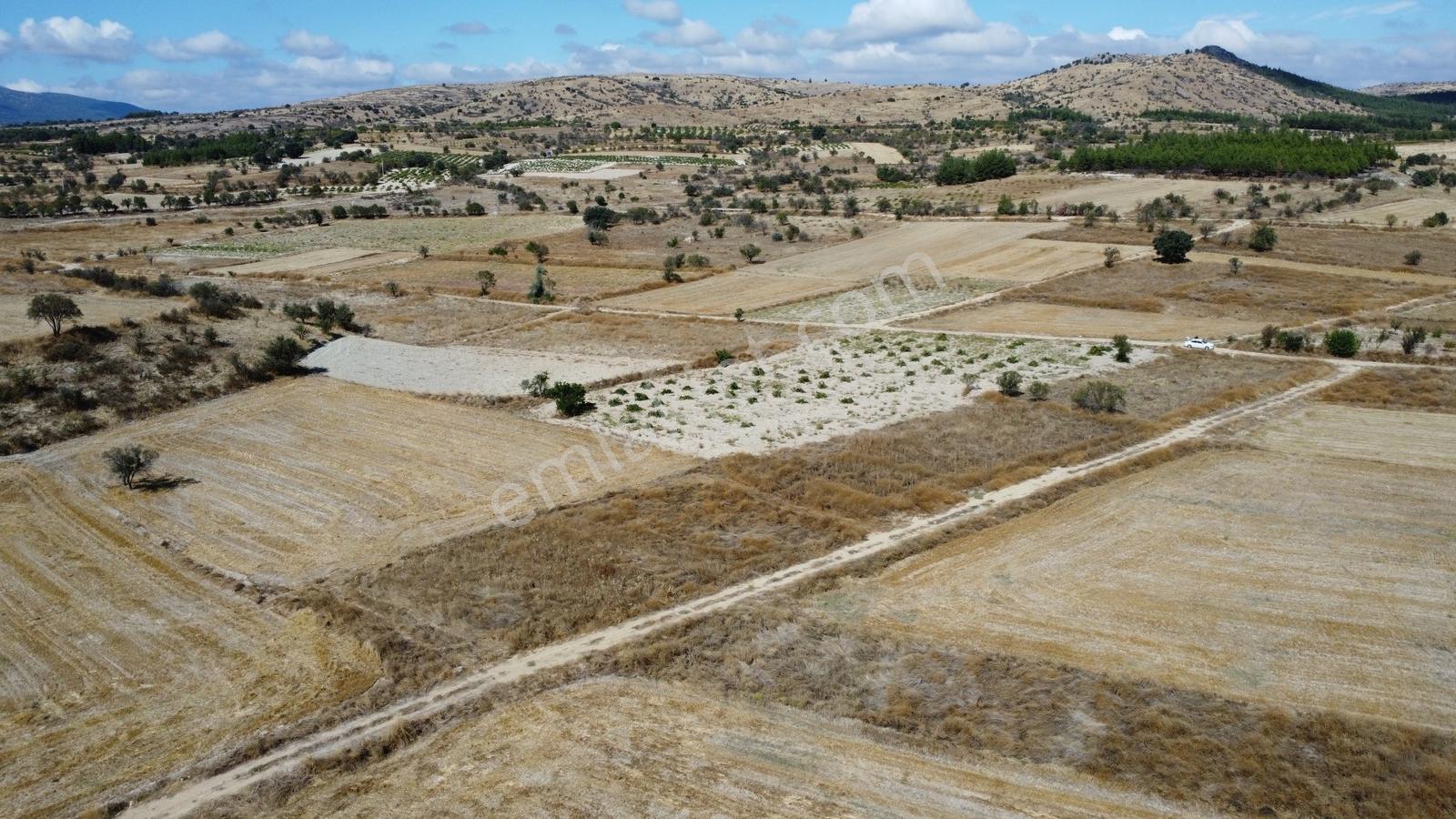 Denizli Çal Aşağıseyit Mh 2324 Mt Yola Cephe Yerleşime 450 Metre — fotoğraf 30