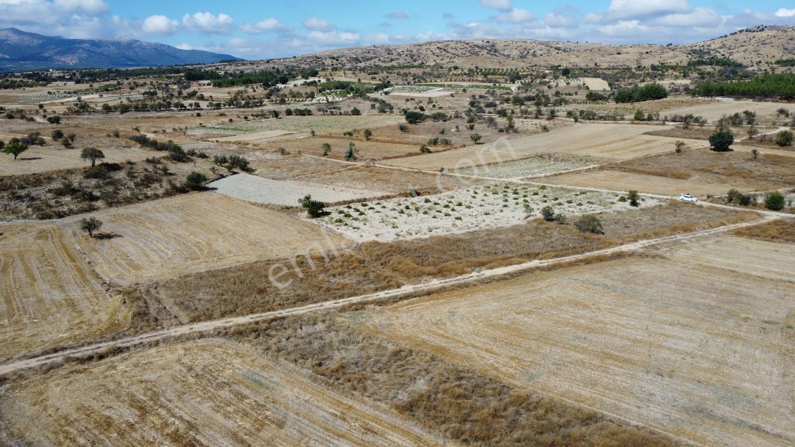 Denizli Çal Aşağıseyit Mh 2324 Mt Yola Cephe Yerleşime 450 Metre — fotoğraf 32