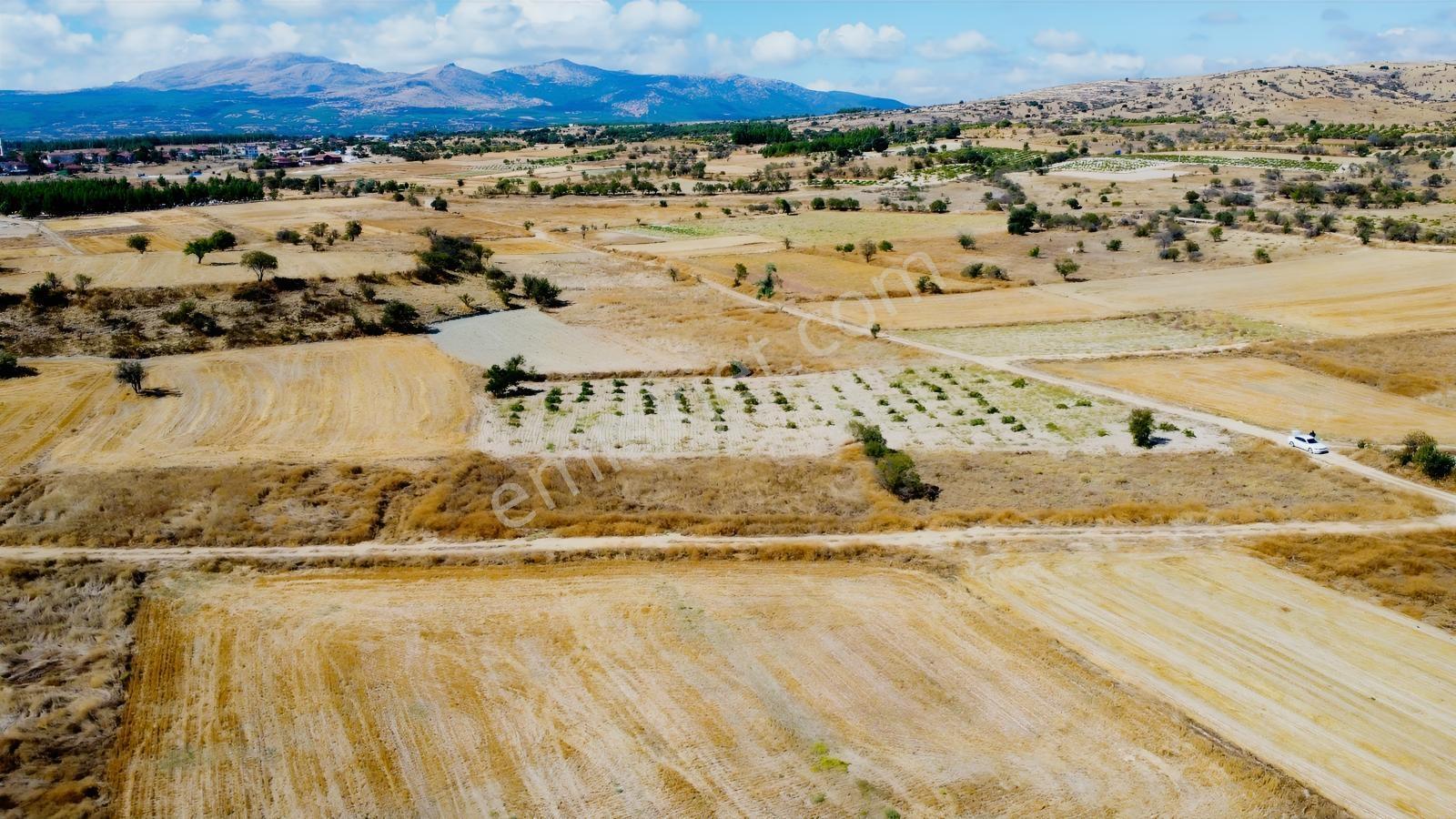 Denizli Çal Aşağıseyit Mh 2324 Mt Yola Cephe Yerleşime 450 Metre — fotoğraf 33