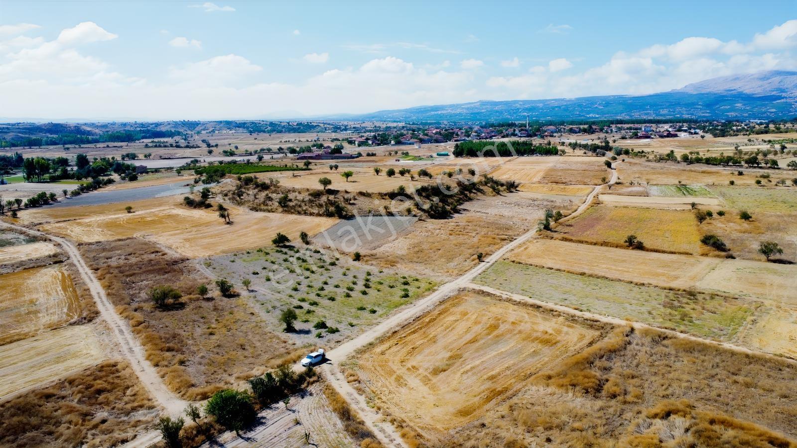 Denizli Çal Aşağıseyit Mh 2324 Mt Yola Cephe Yerleşime 450 Metre — fotoğraf 35