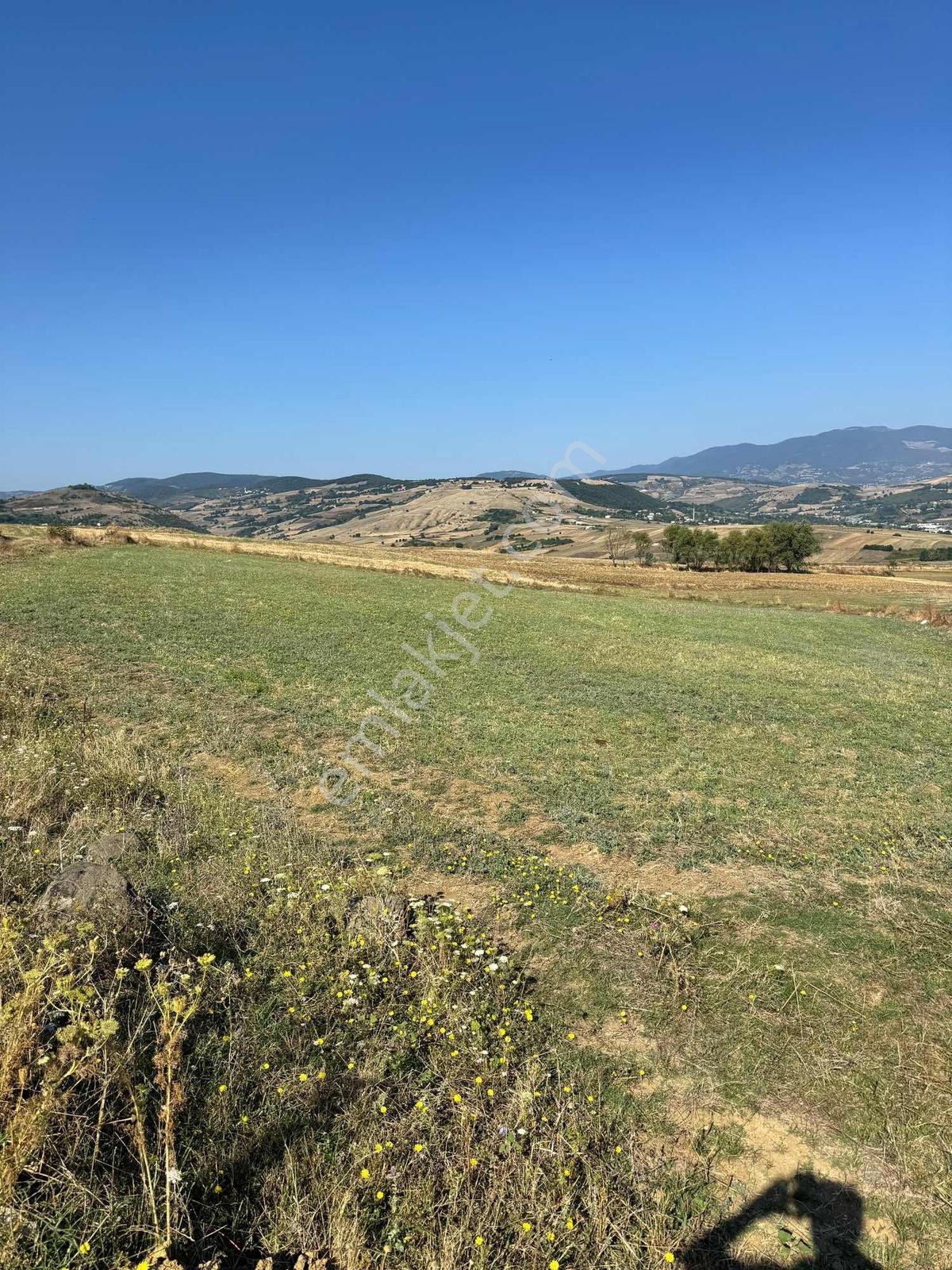 Uzgurda 30 Metre Bulvara Cephe 4.225 M² Yatırımlık Tarla — fotoğraf 2