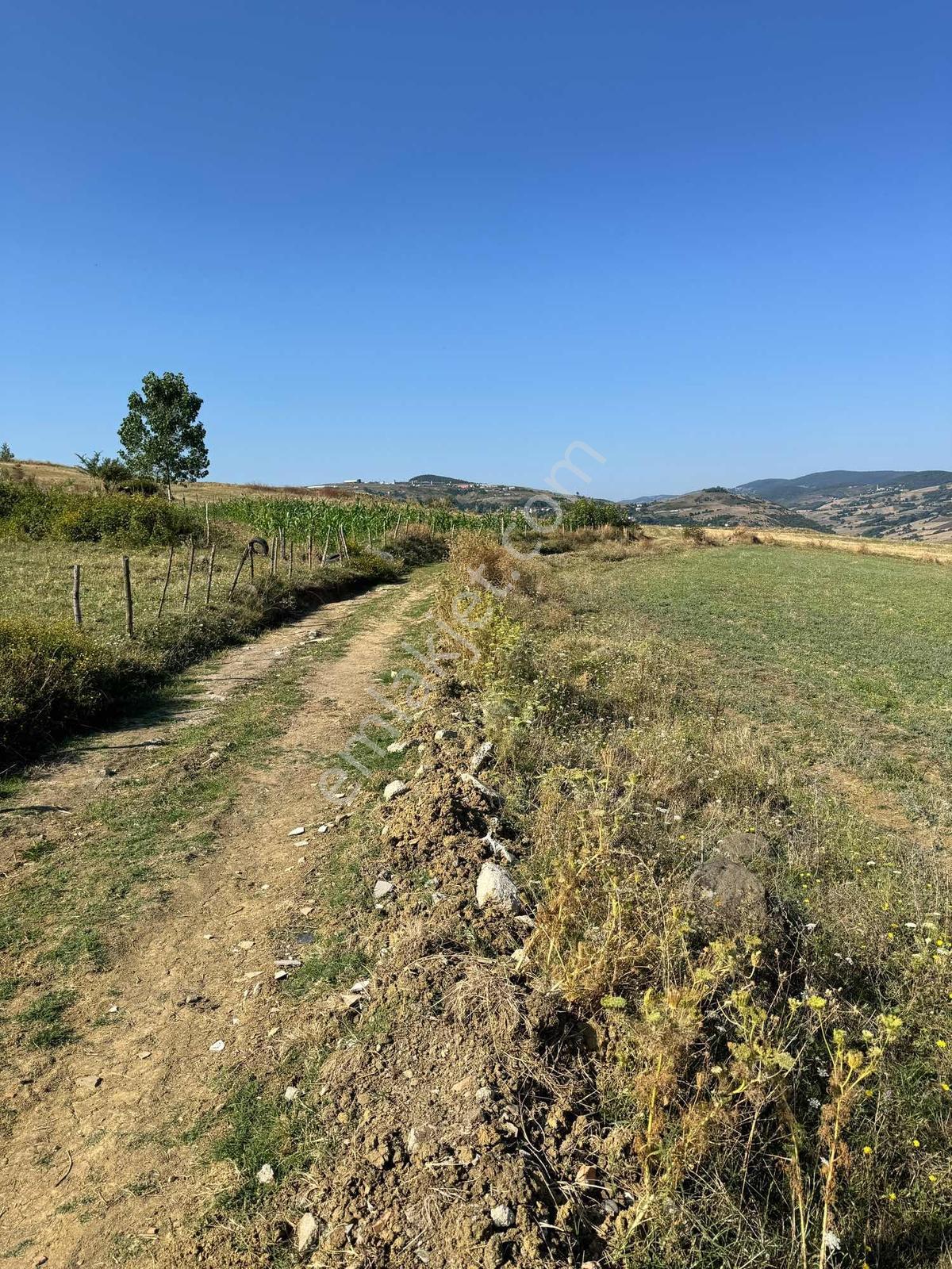 Uzgurda 30 Metre Bulvara Cephe 4.225 M² Yatırımlık Tarla — fotoğraf 3