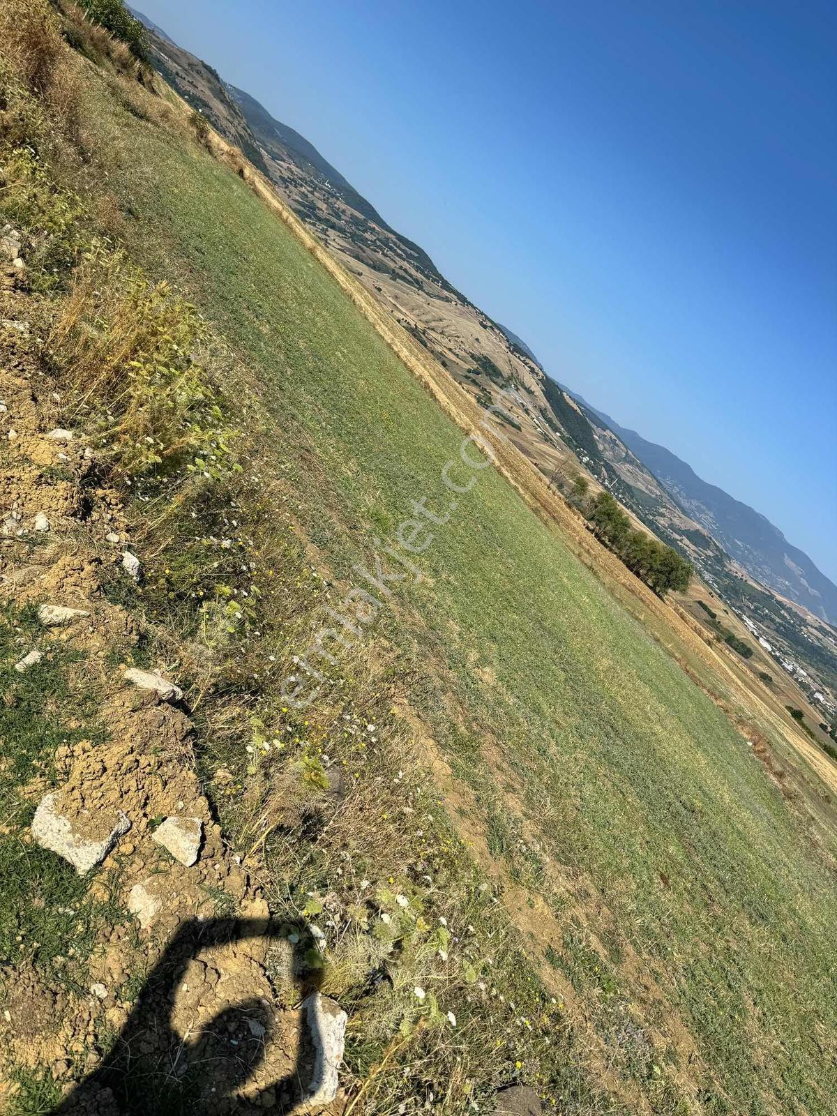 Uzgurda 30 Metre Bulvara Cephe 4.225 M² Yatırımlık Tarla — fotoğraf 4