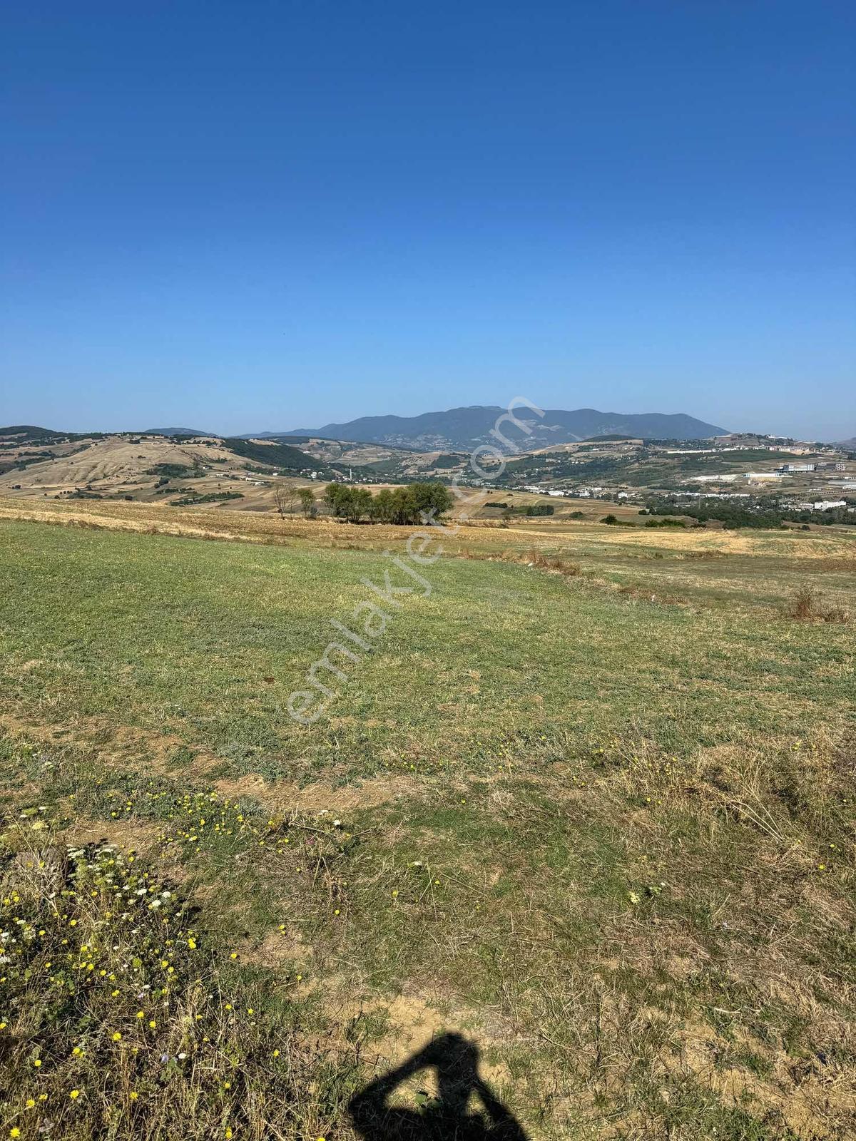 Uzgurda 30 Metre Bulvara Cephe 4.225 M² Yatırımlık Tarla — fotoğraf 5