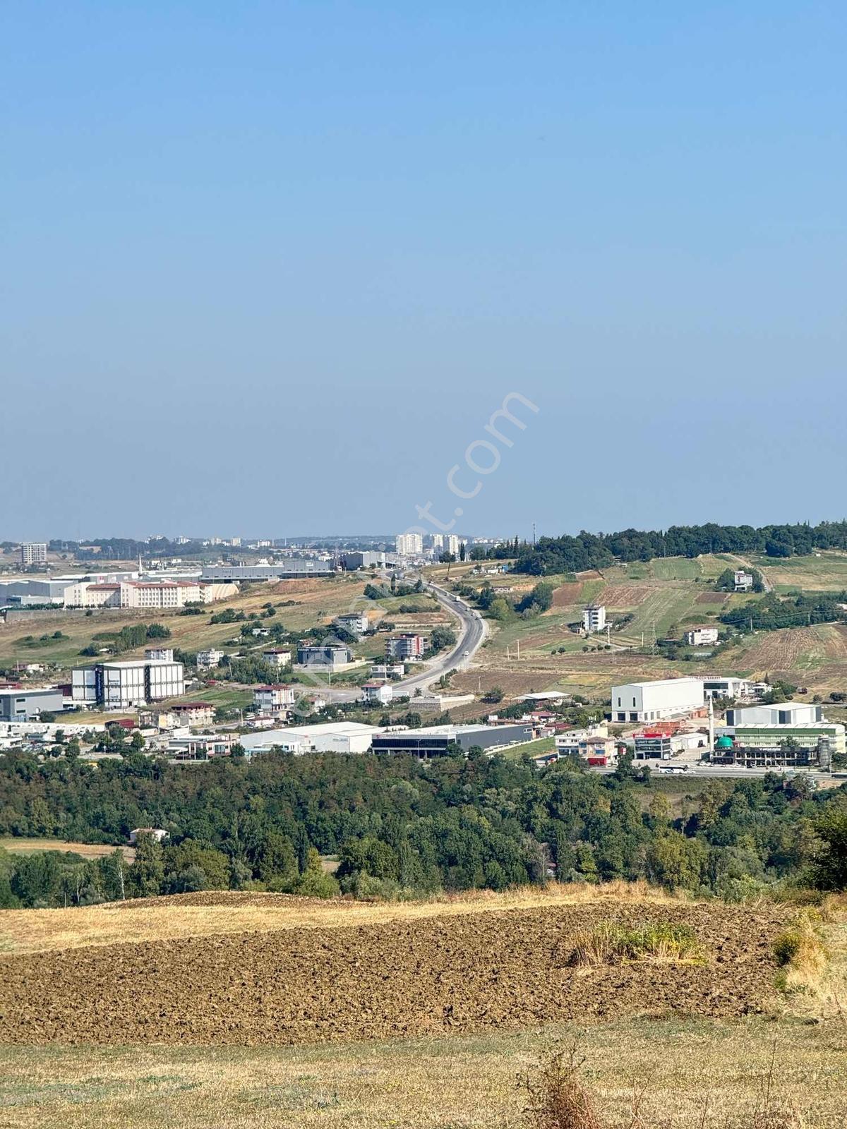 Uzgurda 30 Metre Bulvara Cephe 4.225 M² Yatırımlık Tarla — fotoğraf 6