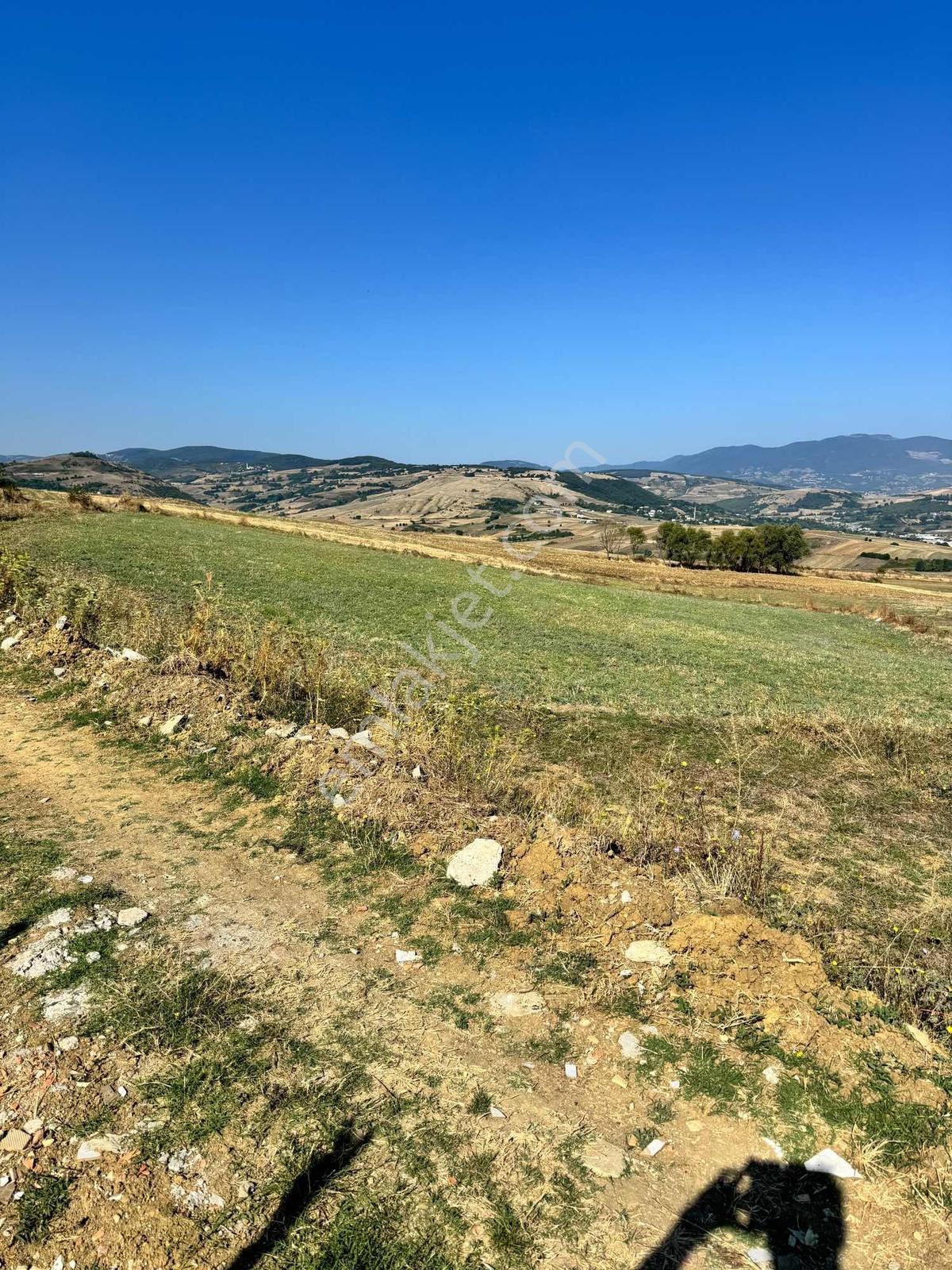 Uzgurda 30 Metre Bulvara Cephe 4.225 M² Yatırımlık Tarla — fotoğraf 9
