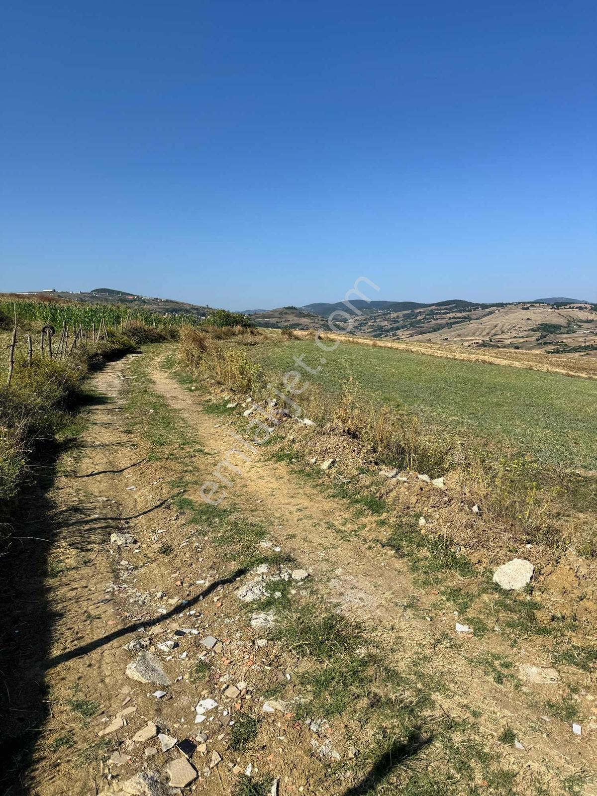 Uzgurda 30 Metre Bulvara Cephe 4.225 M² Yatırımlık Tarla — fotoğraf 10