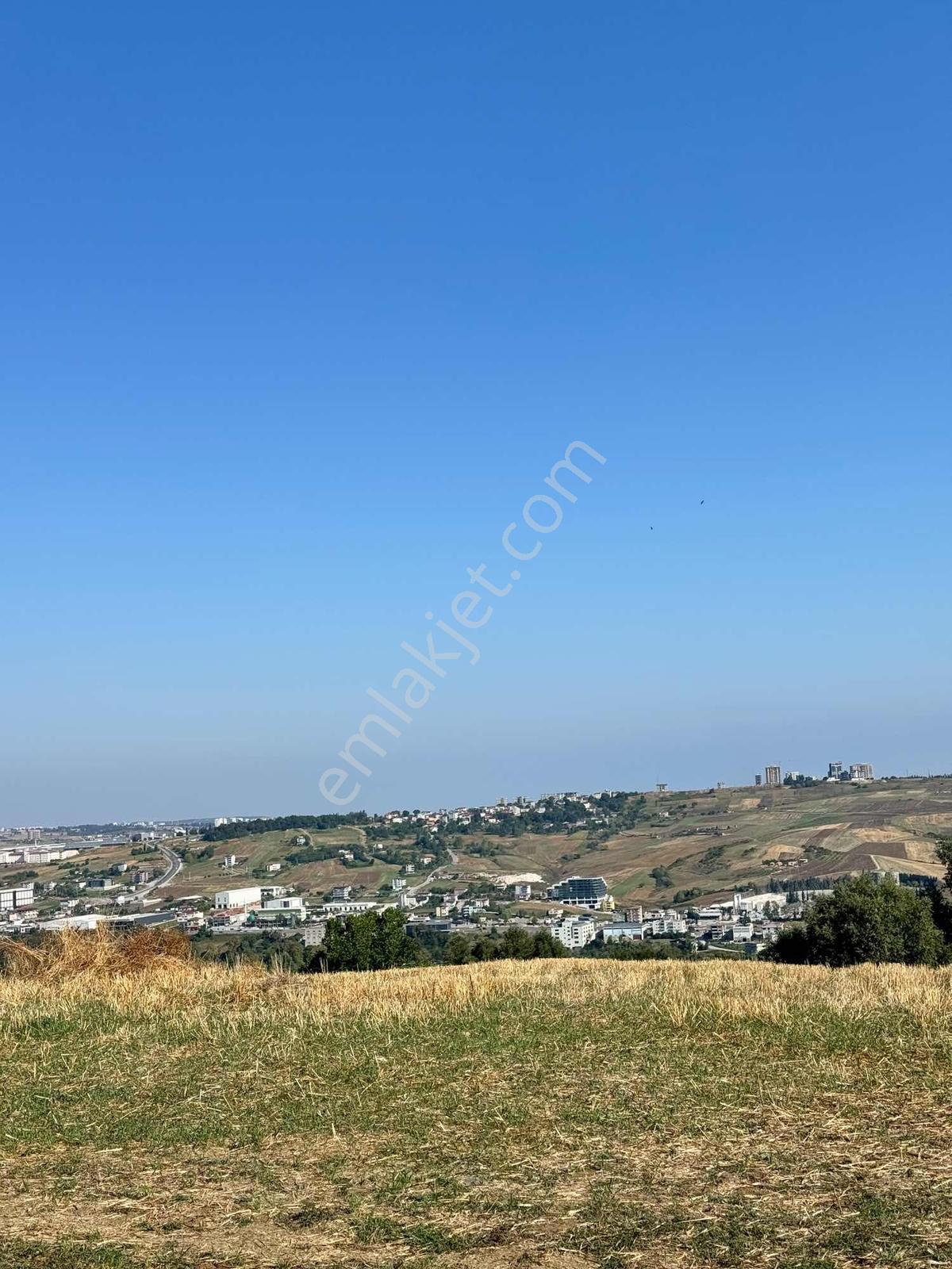 Uzgurda 30 Metre Bulvara Cephe 4.225 M² Yatırımlık Tarla — fotoğraf 11