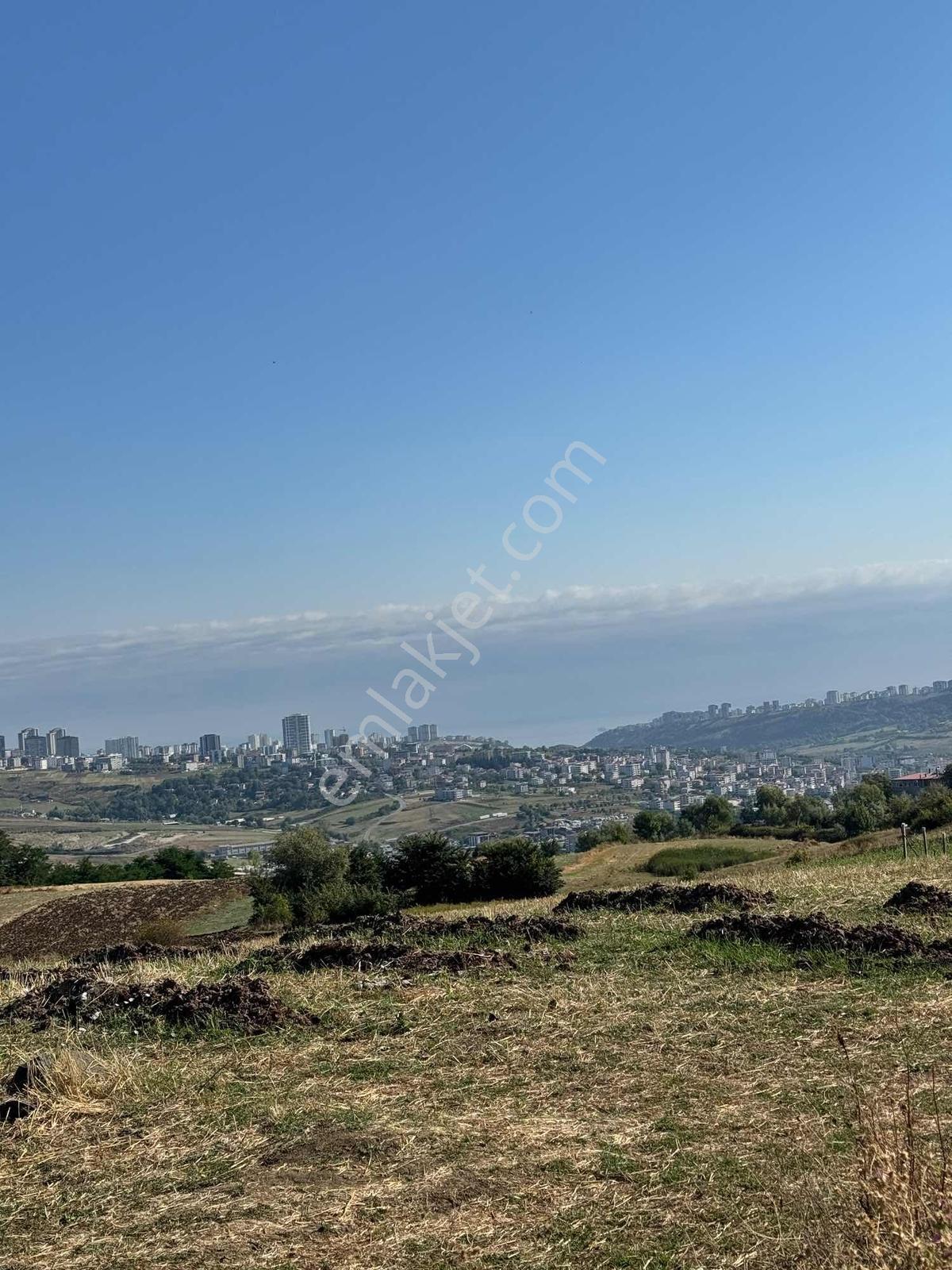 Uzgurda 30 Metre Bulvara Cephe 4.225 M² Yatırımlık Tarla — fotoğraf 12