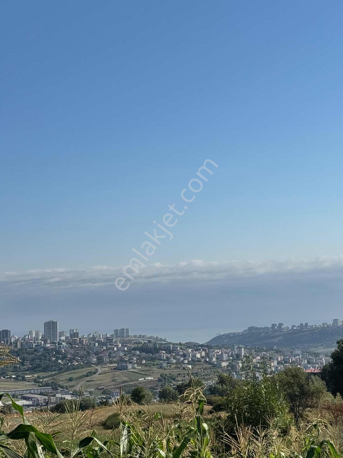 Uzgurda 30 Metre Bulvara Cephe 4.225 M² Yatırımlık Tarla — fotoğraf 13