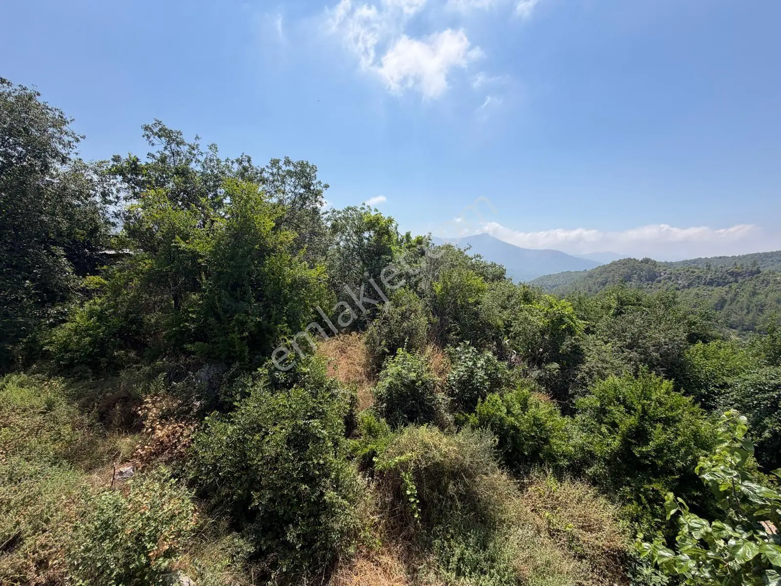 Alanya Asmaca Mahallesi Satılık Tarla — fotoğraf 3