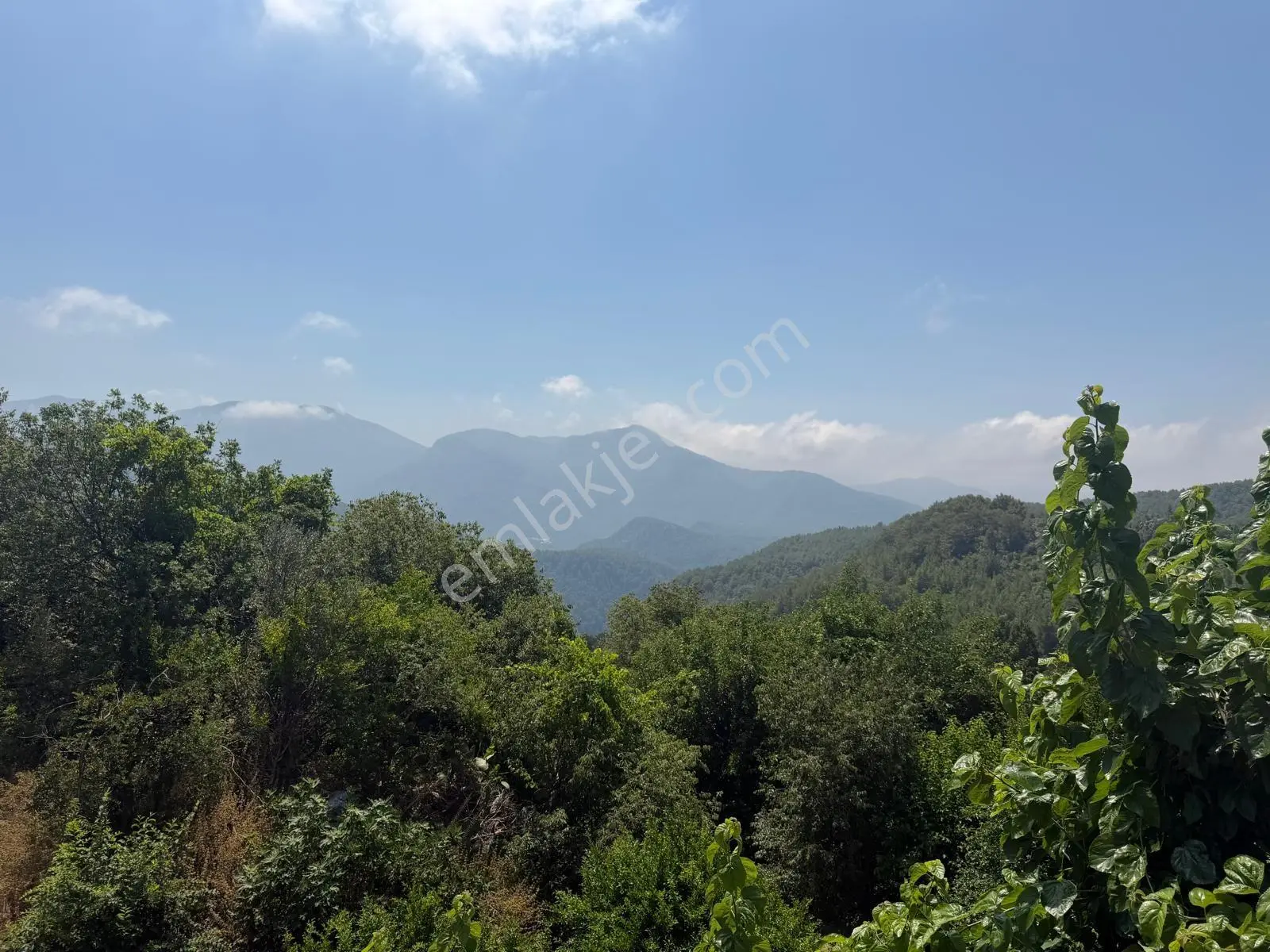 Alanya Asmaca Mahallesi Satılık Tarla — fotoğraf 4