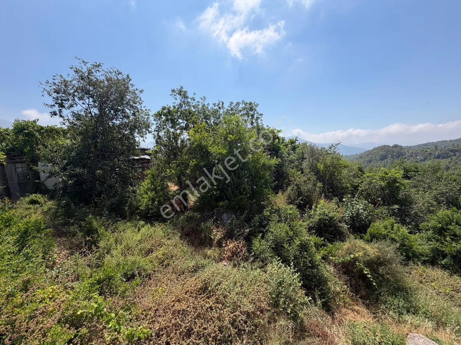 Alanya Asmaca Mahallesi Satılık Tarla — fotoğraf 5