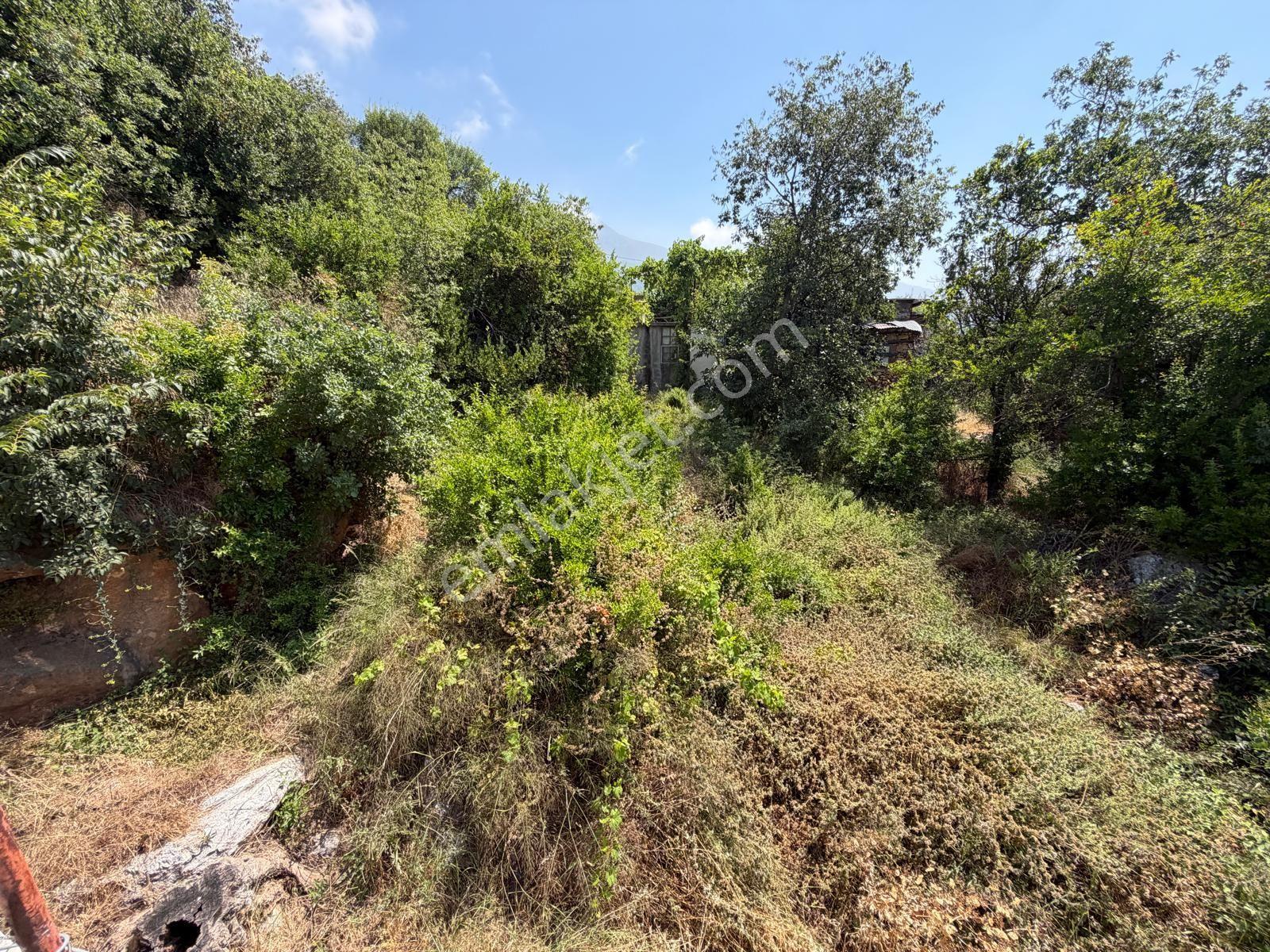 Alanya Asmaca Mahallesi Satılık Tarla — fotoğraf 6