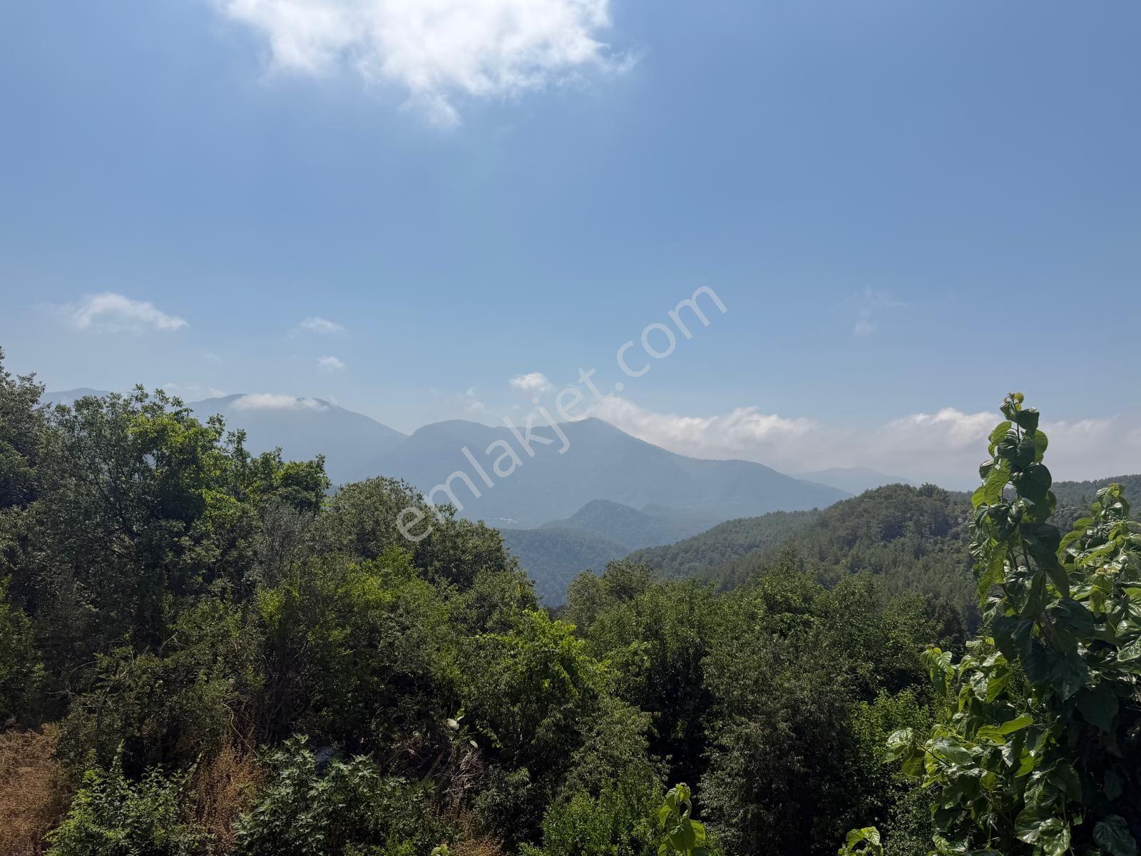 Alanya Asmaca Mahallesi Satılık Tarla — fotoğraf 7