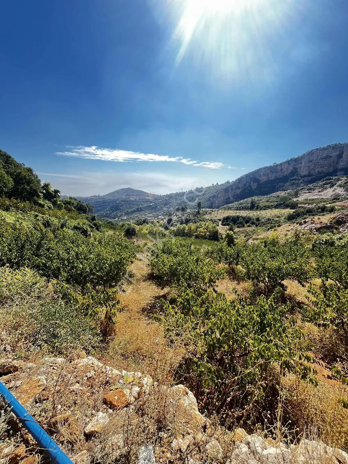 Toroslar Kepirlide 1.788 M2 Bahçe Asfalt'a 2 Nci Parsel Suyu Var