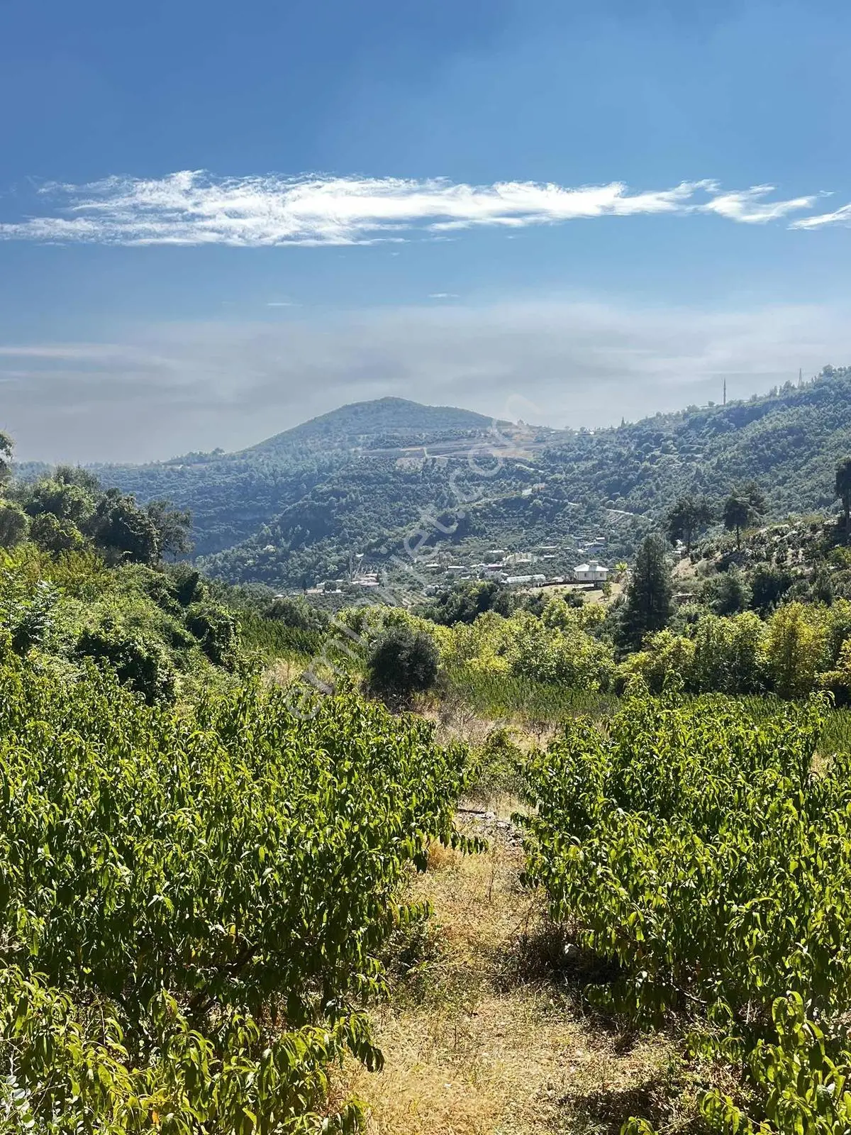 Toroslar Kepirlide 1.788 M2 Bahçe Asfalt'a 2 Nci Parsel Suyu Var — fotoğraf 4