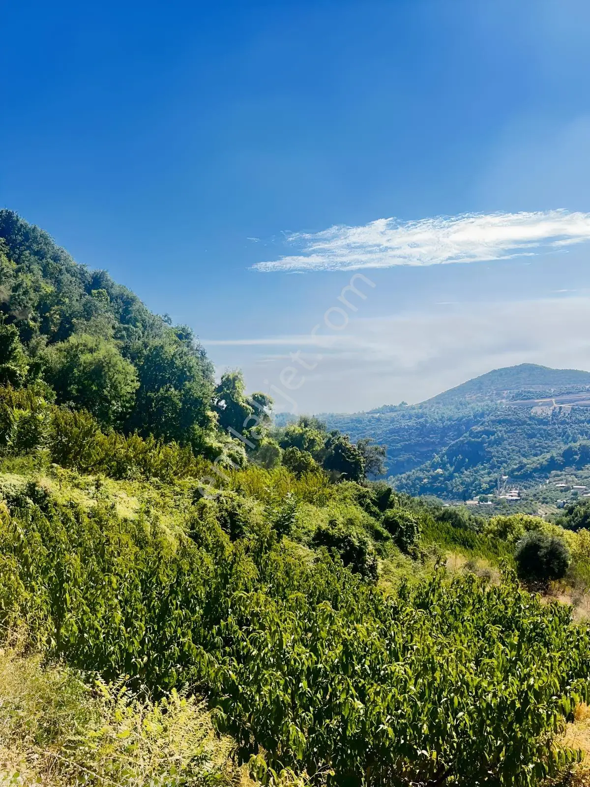 Toroslar Kepirlide 1.788 M2 Bahçe Asfalt'a 2 Nci Parsel Suyu Var — fotoğraf 5