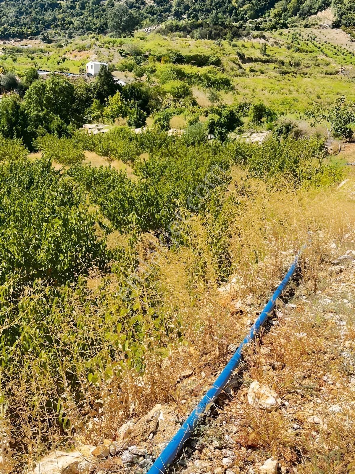 Toroslar Kepirlide 1.788 M2 Bahçe Asfalt'a 2 Nci Parsel Suyu Var — fotoğraf 7
