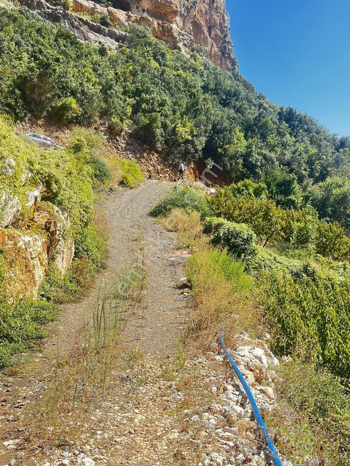 Toroslar Kepirlide 1.788 M2 Bahçe Asfalt'a 2 Nci Parsel Suyu Var — fotoğraf 8