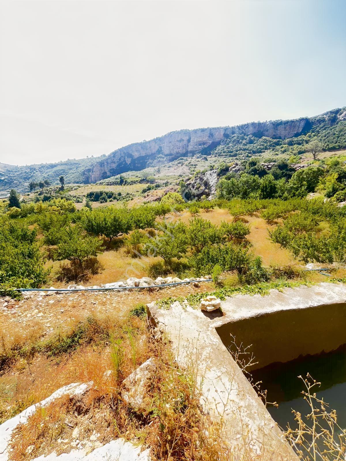 Toroslar Kepirlide 1.788 M2 Bahçe Asfalt'a 2 Nci Parsel Suyu Var — fotoğraf 9