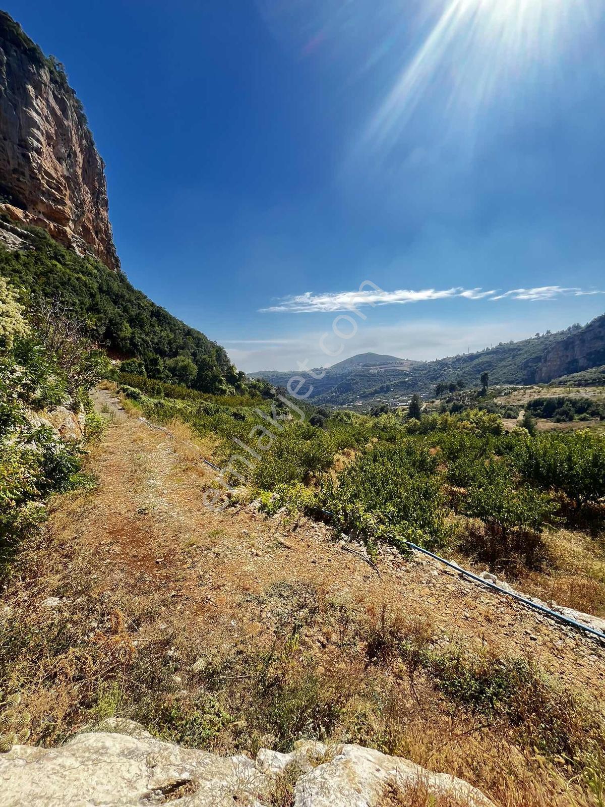 Toroslar Kepirlide 1.788 M2 Bahçe Asfalt'a 2 Nci Parsel Suyu Var — fotoğraf 11