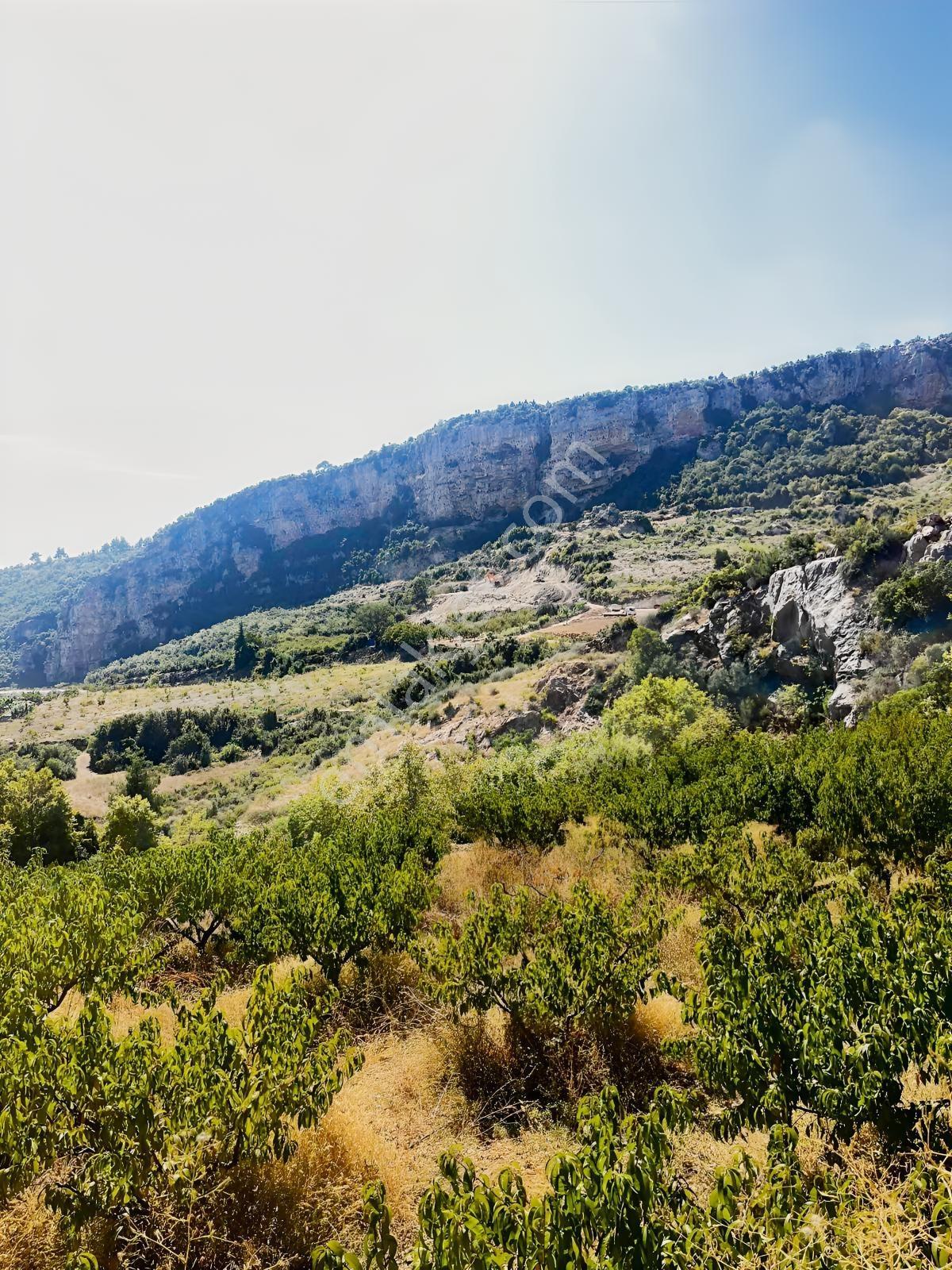 Toroslar Kepirlide 1.788 M2 Bahçe Asfalt'a 2 Nci Parsel Suyu Var — fotoğraf 12